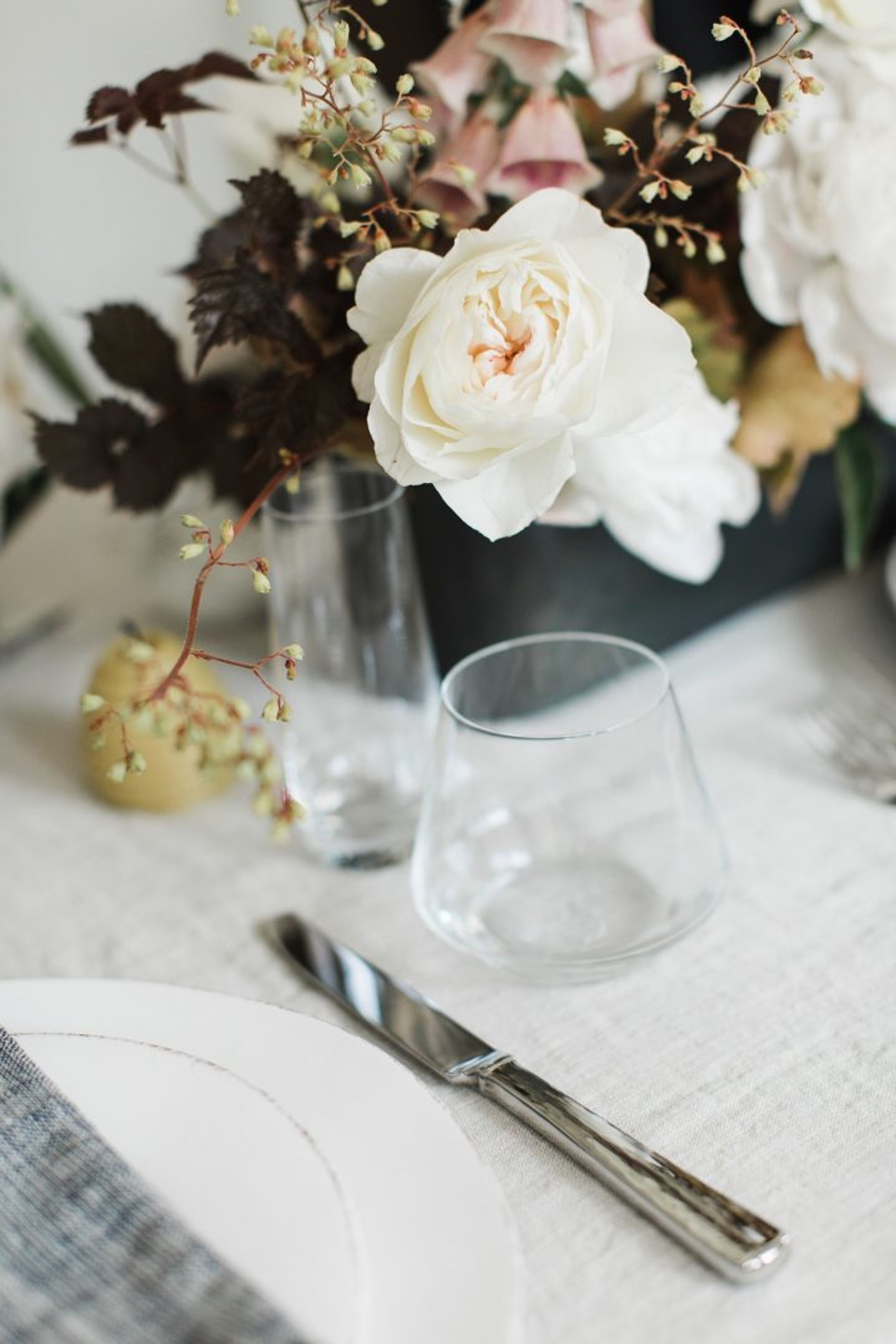 Cover photo of Nectar and Root