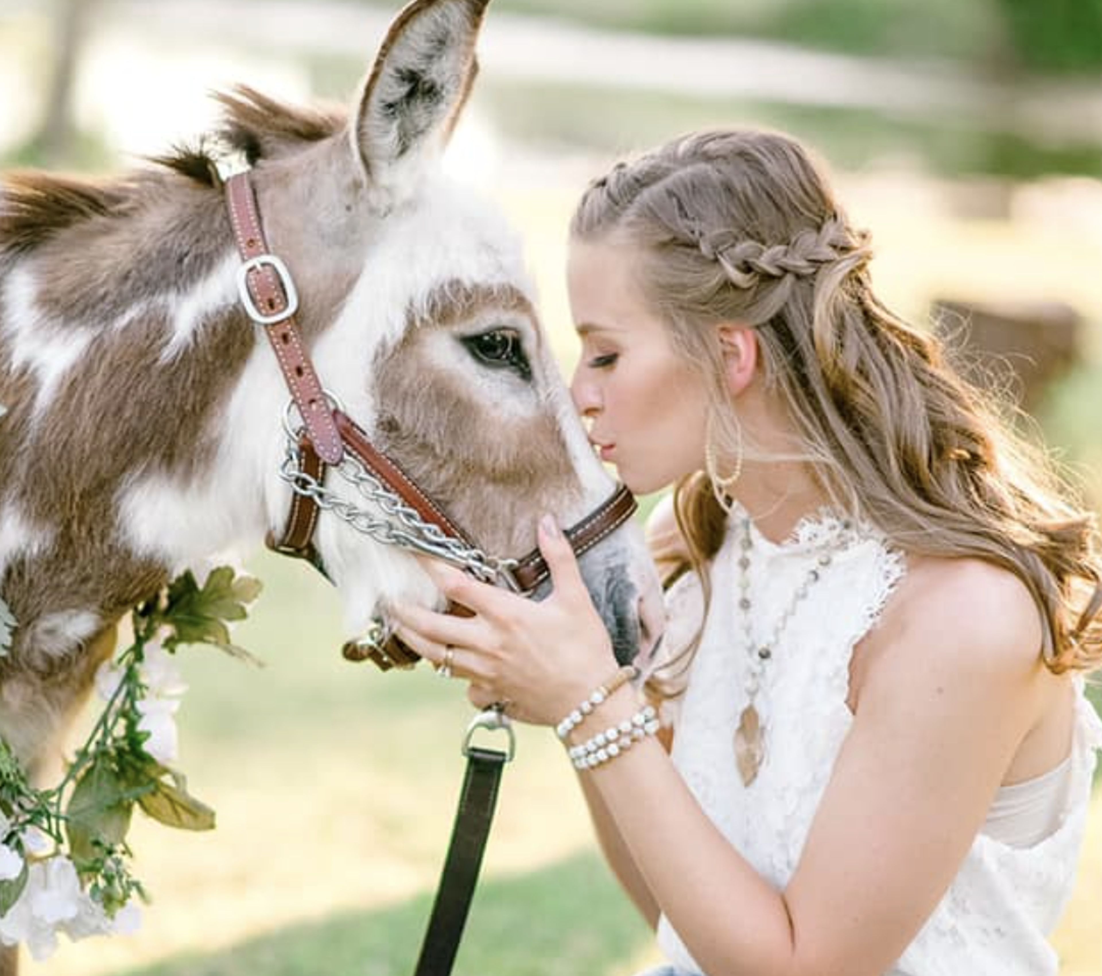 Cover photo of Big City Farm
