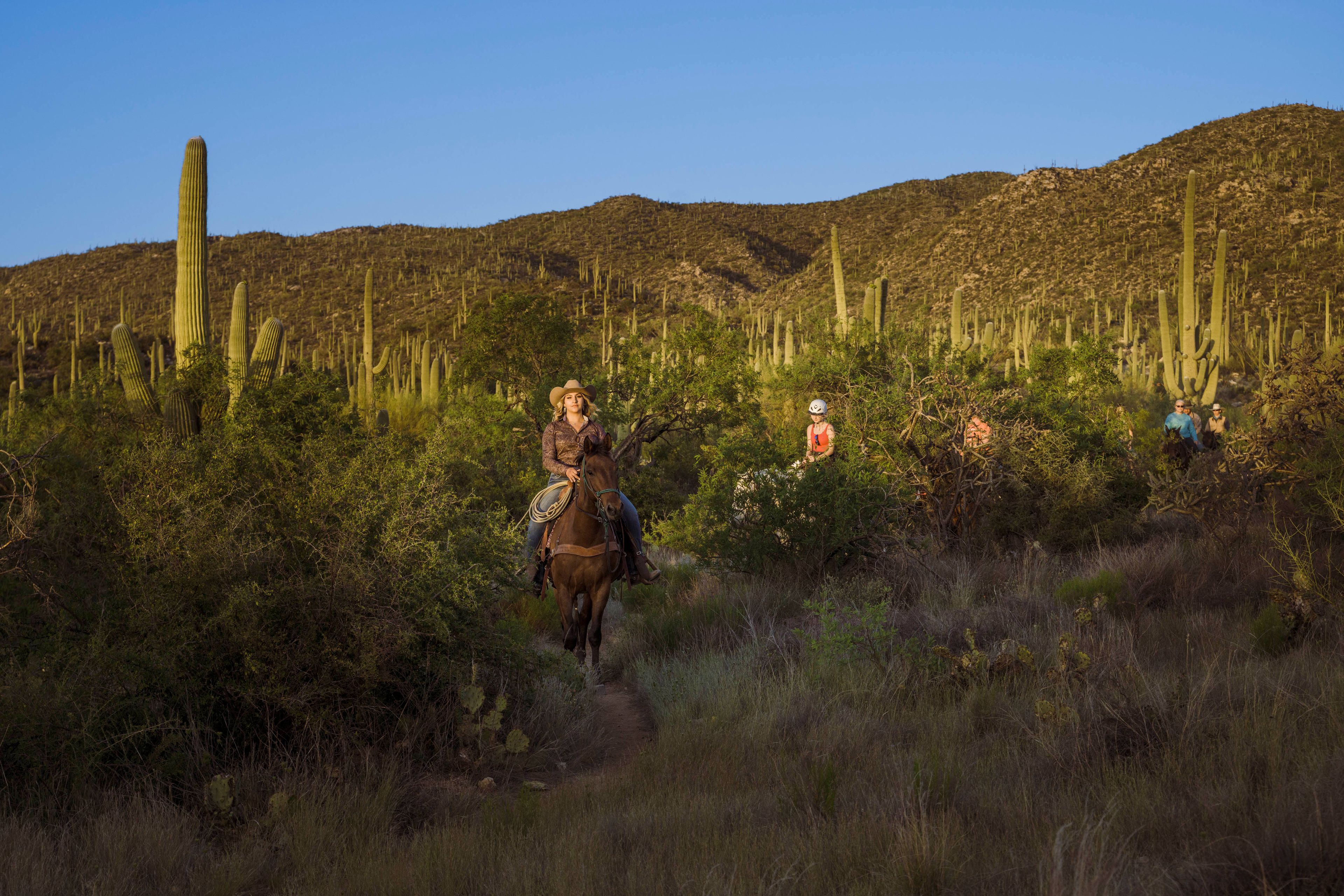 Cover photo of Tanque Verde Ranch