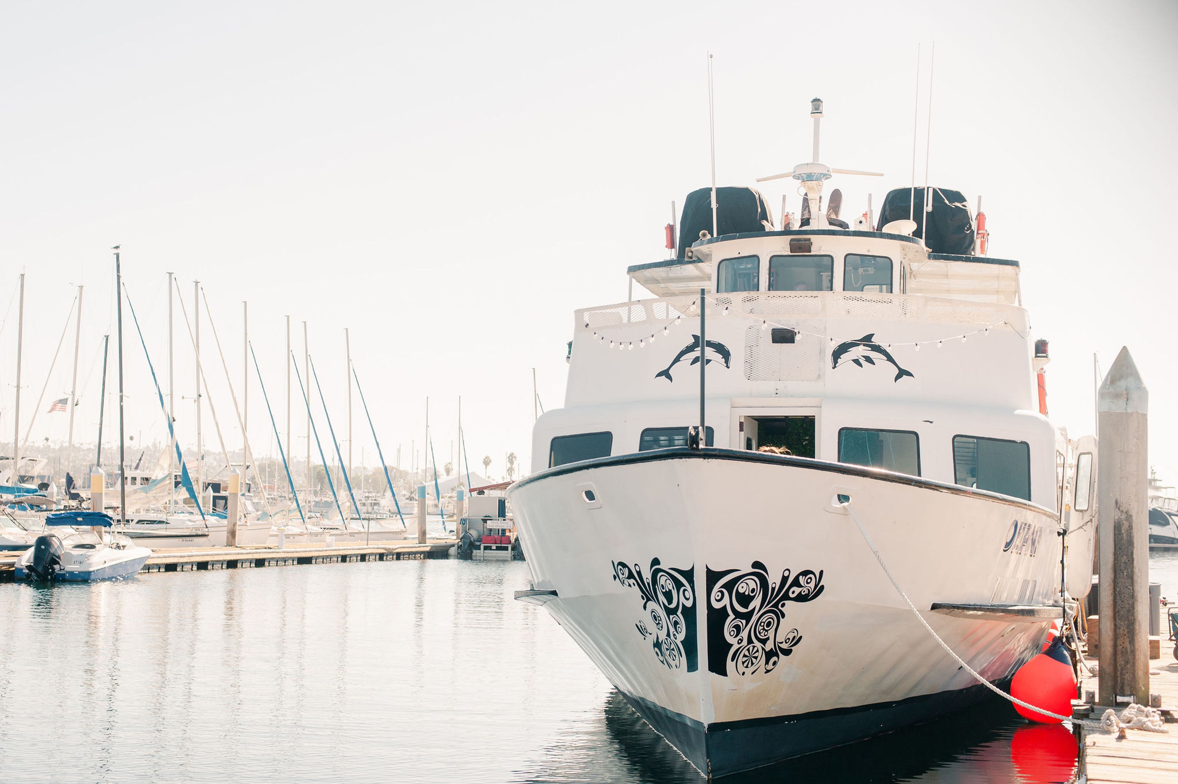 Cover photo of Cruise San Diego