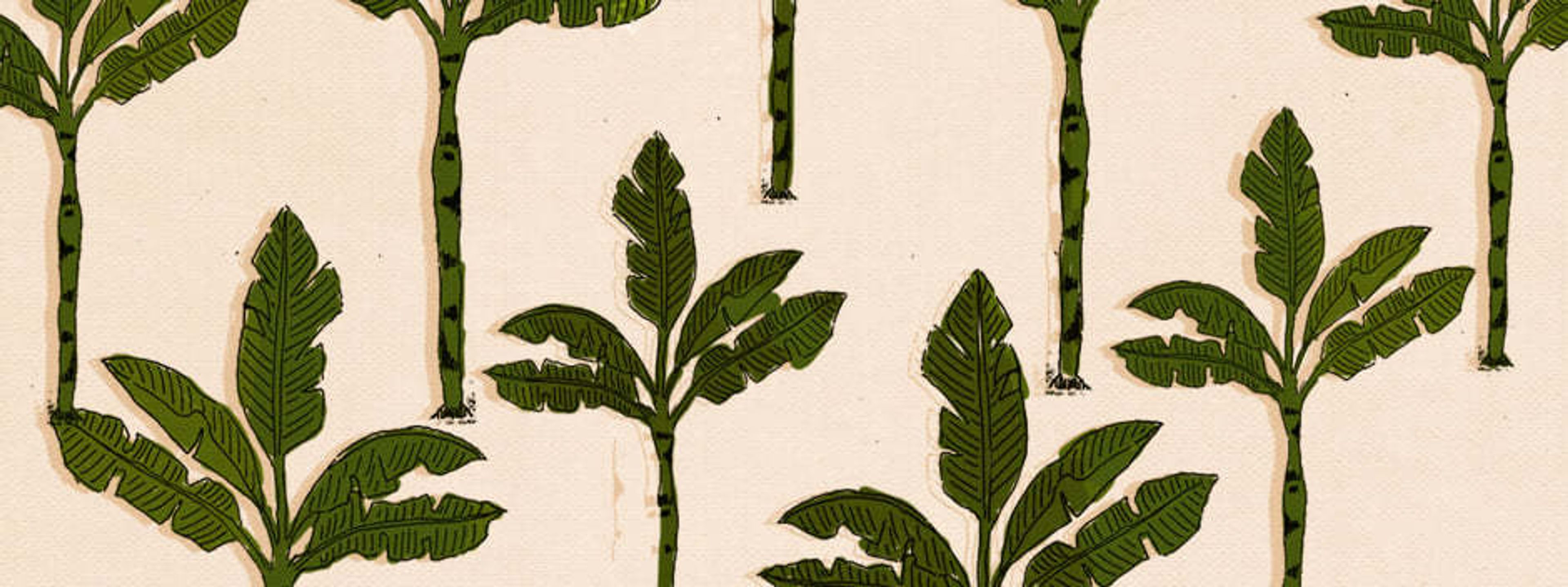 Cover photo of Tatiana Angel of CCC Event Planning