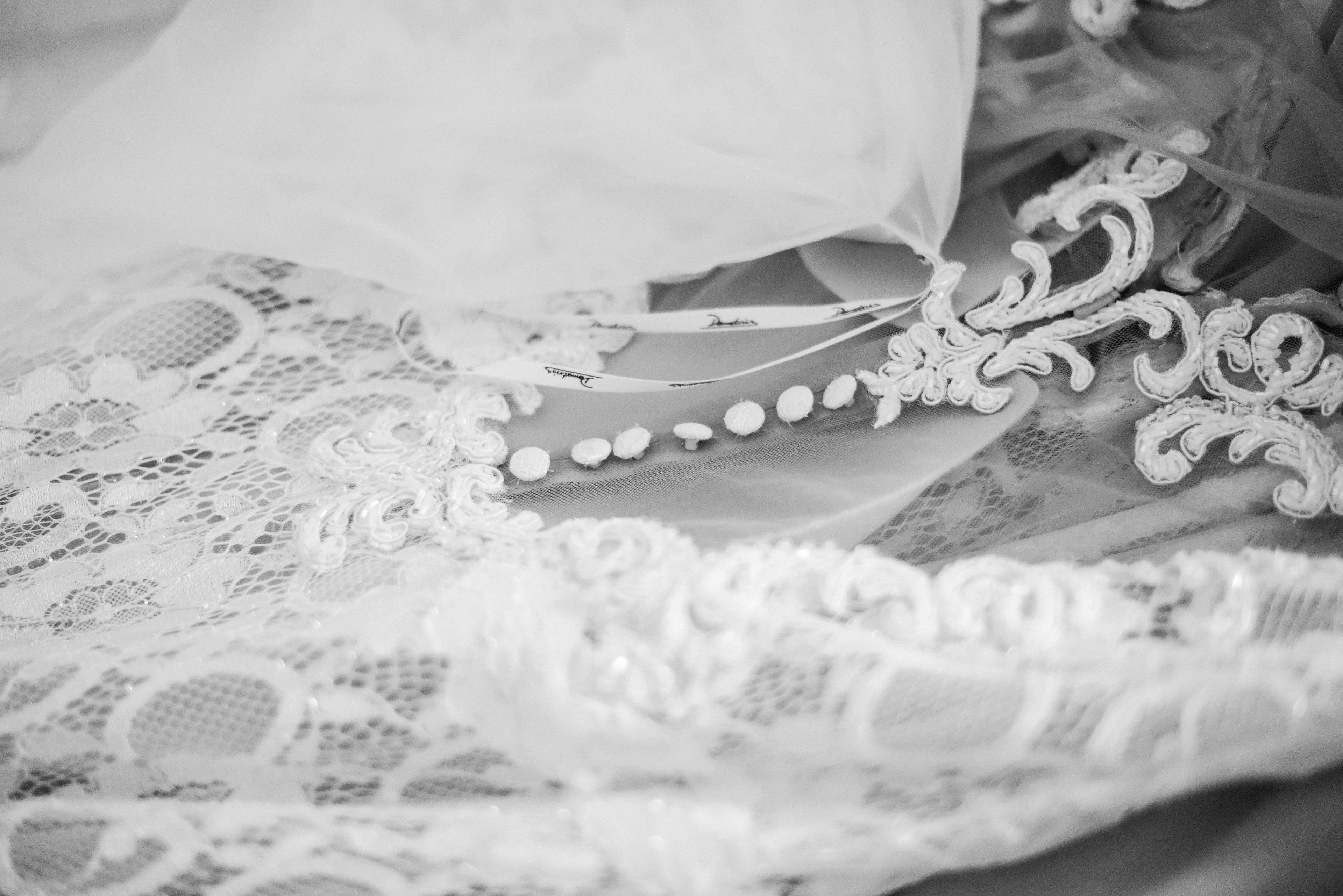 Cover photo of CRÉATEUR DE MONDES