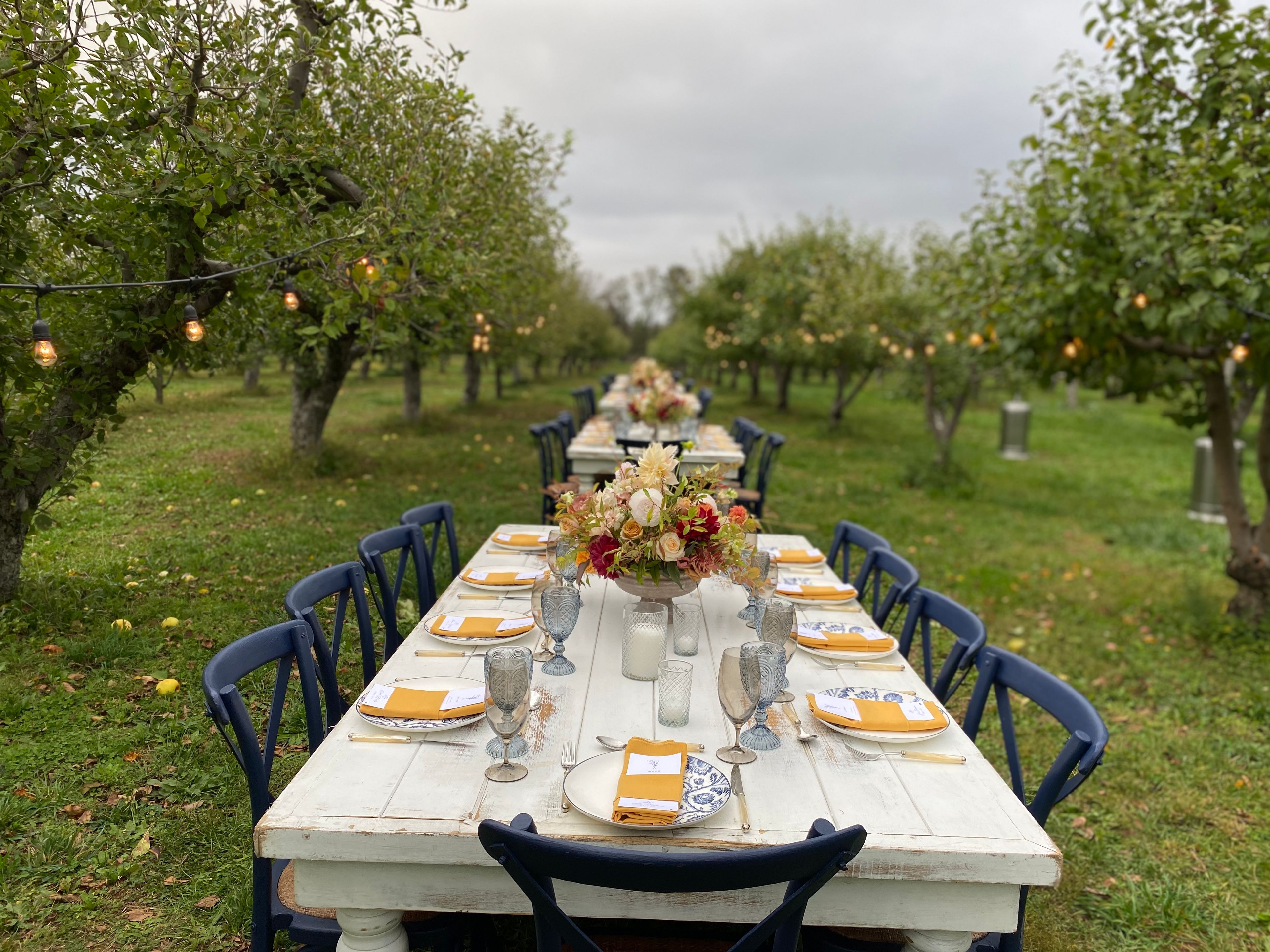 Cover photo of Noah's