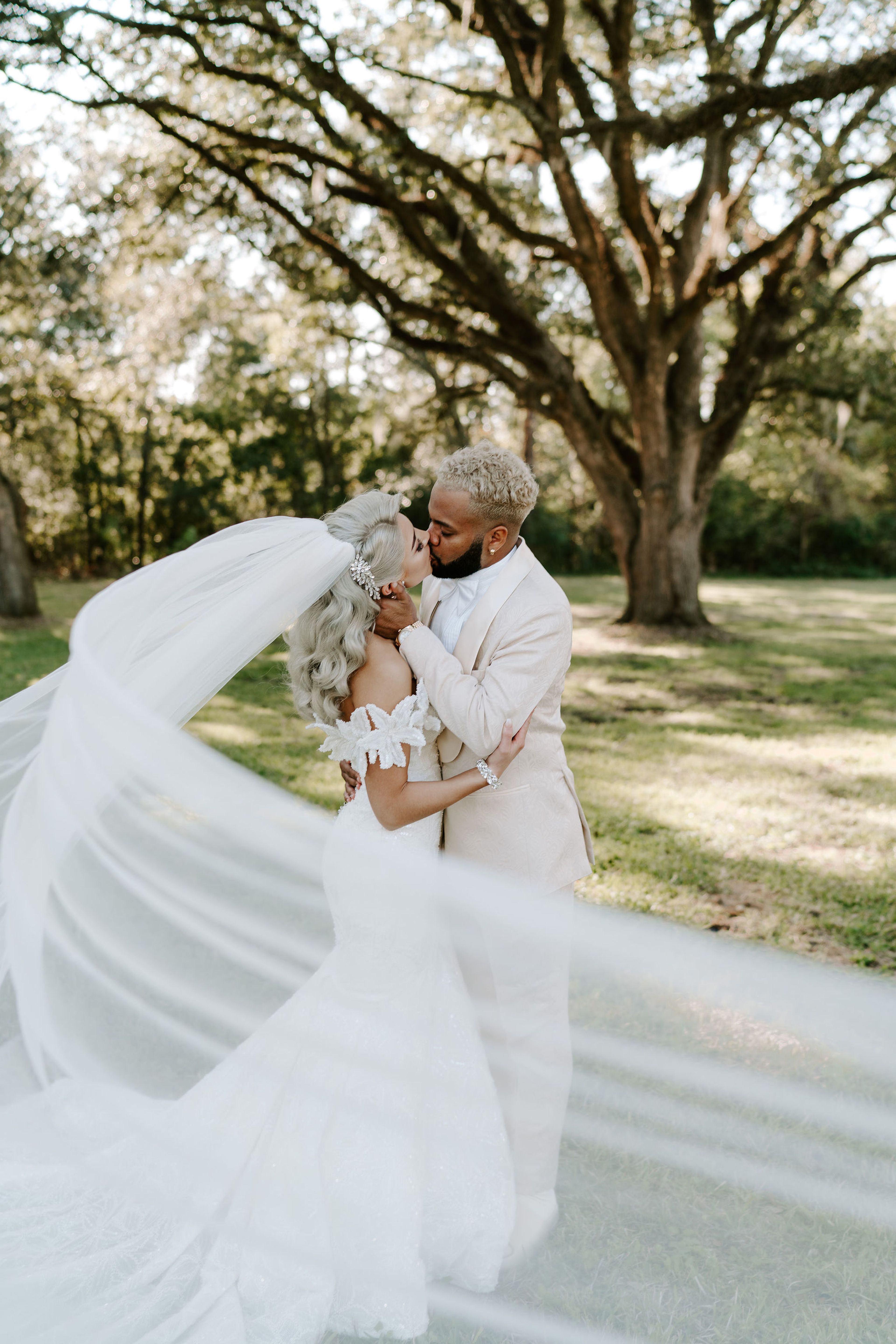 Cover photo of Addison Woods Wedding & Event Venue