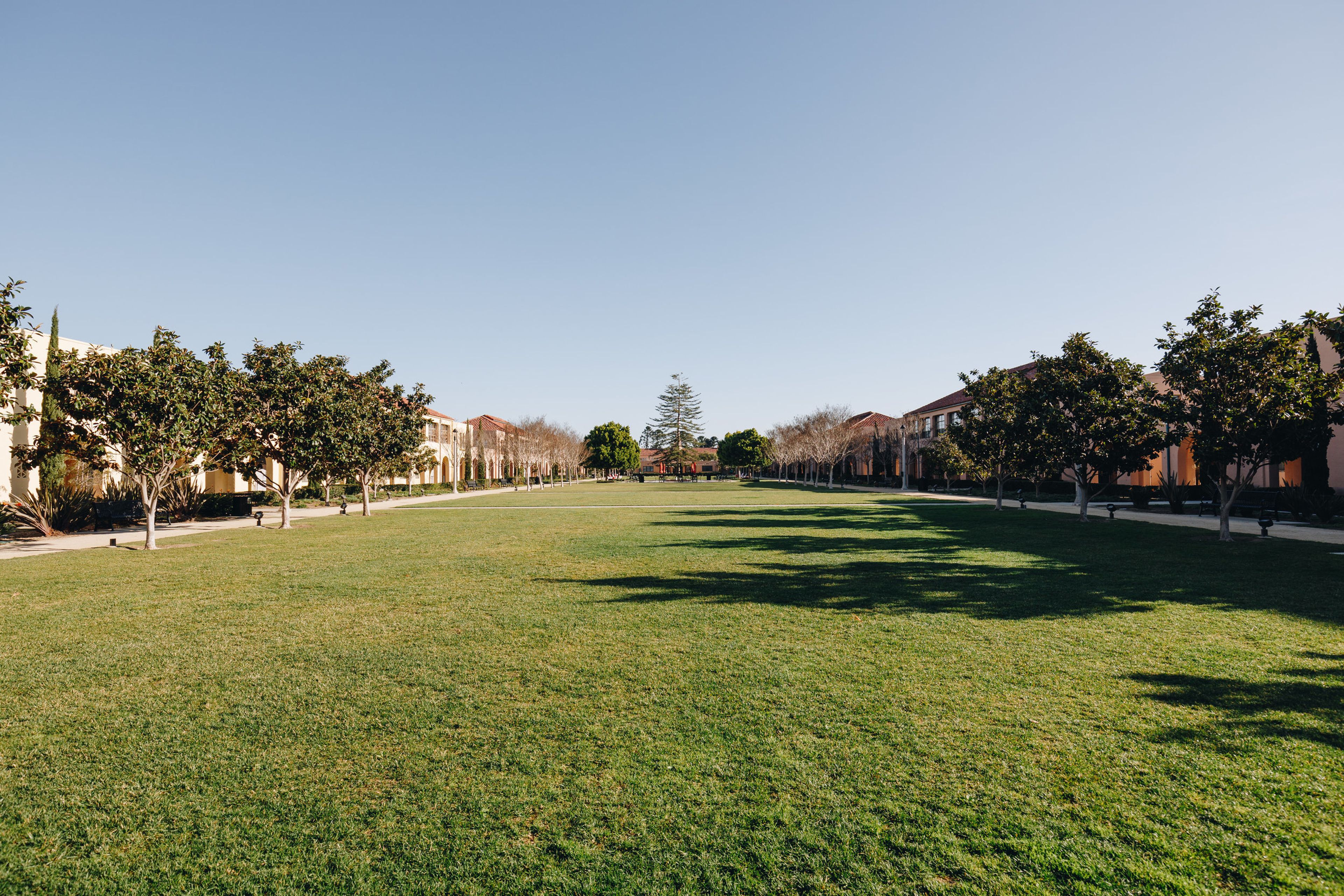 Cover photo of North Promenade