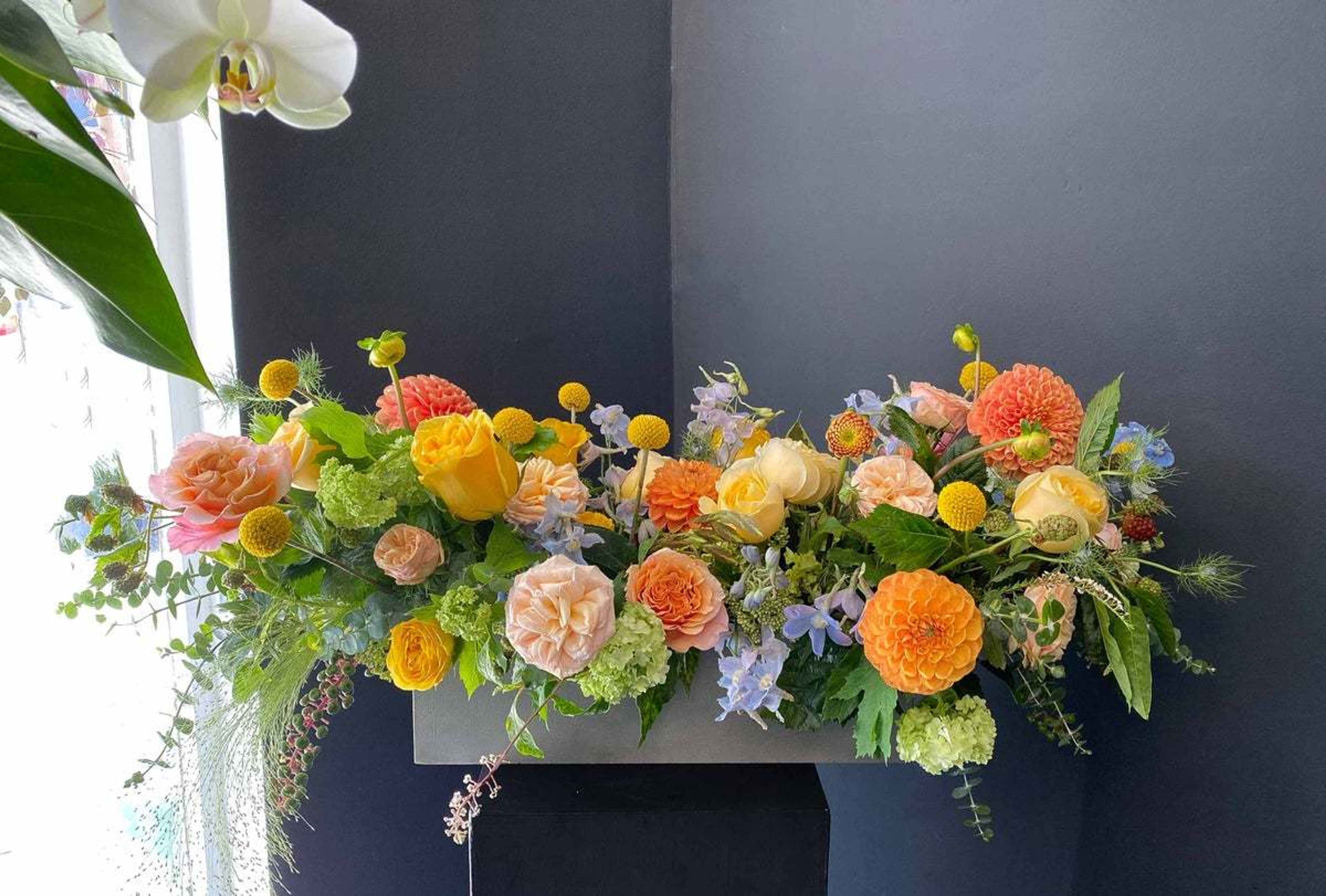 Cover photo of Twigs and Thyme