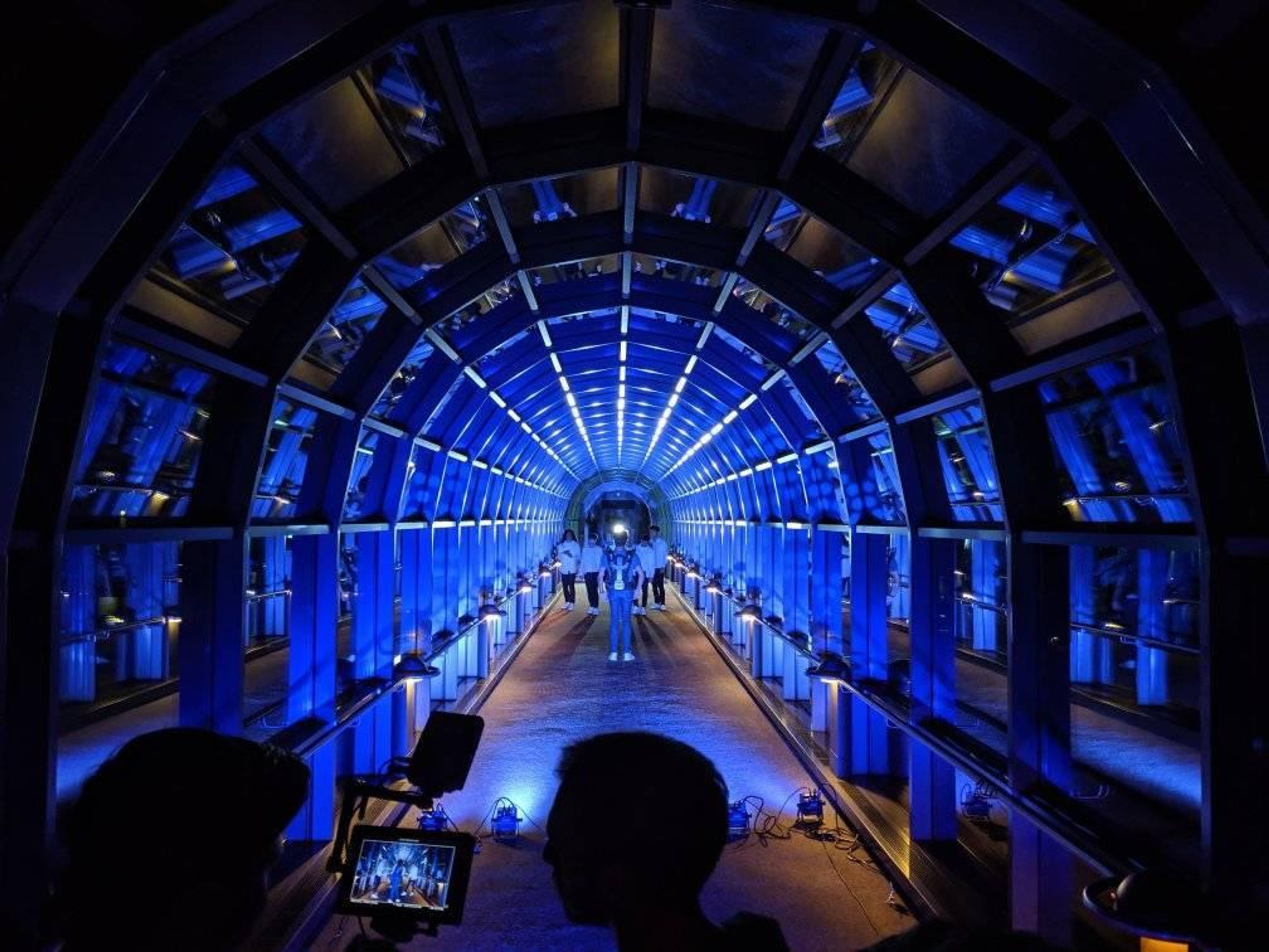 Cover photo of Bellevue Lighting