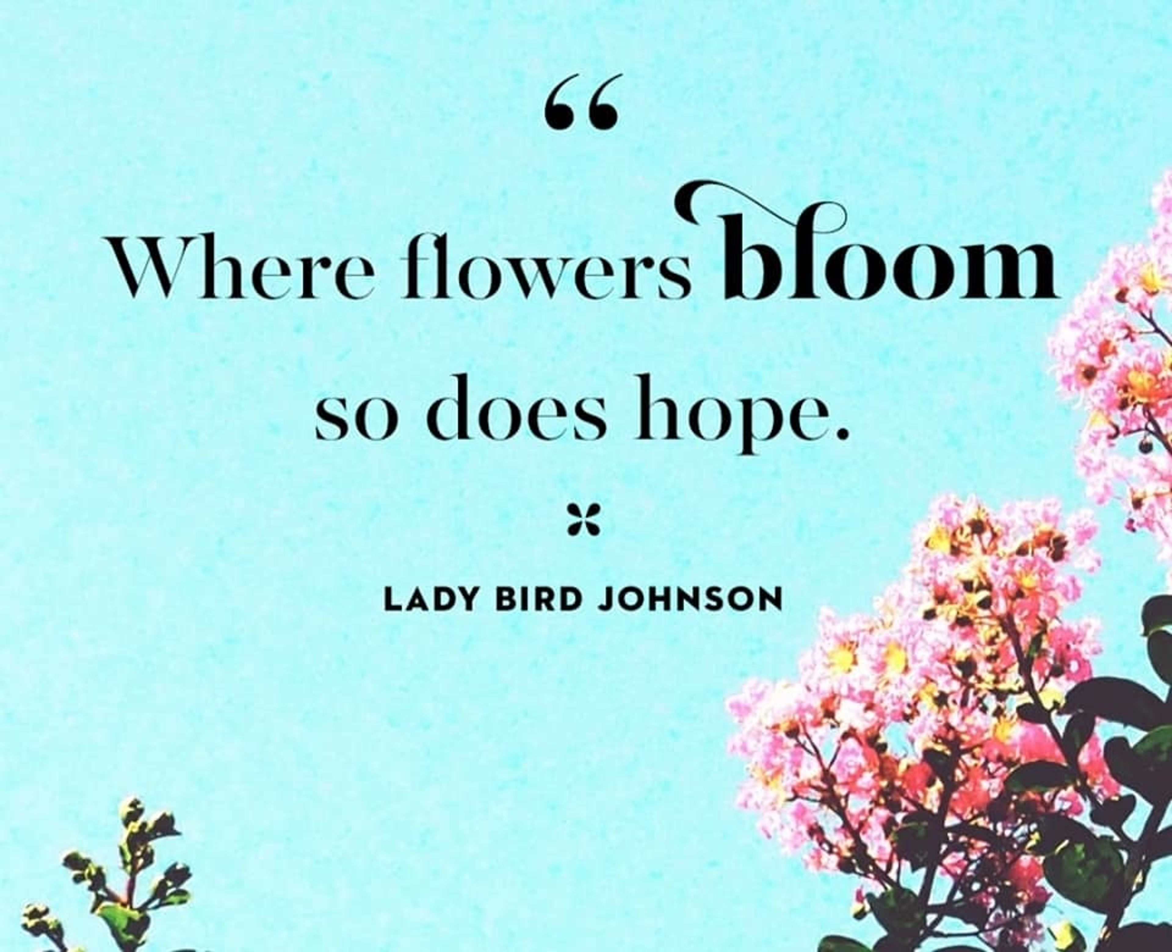 Cover photo of Parisian Florist