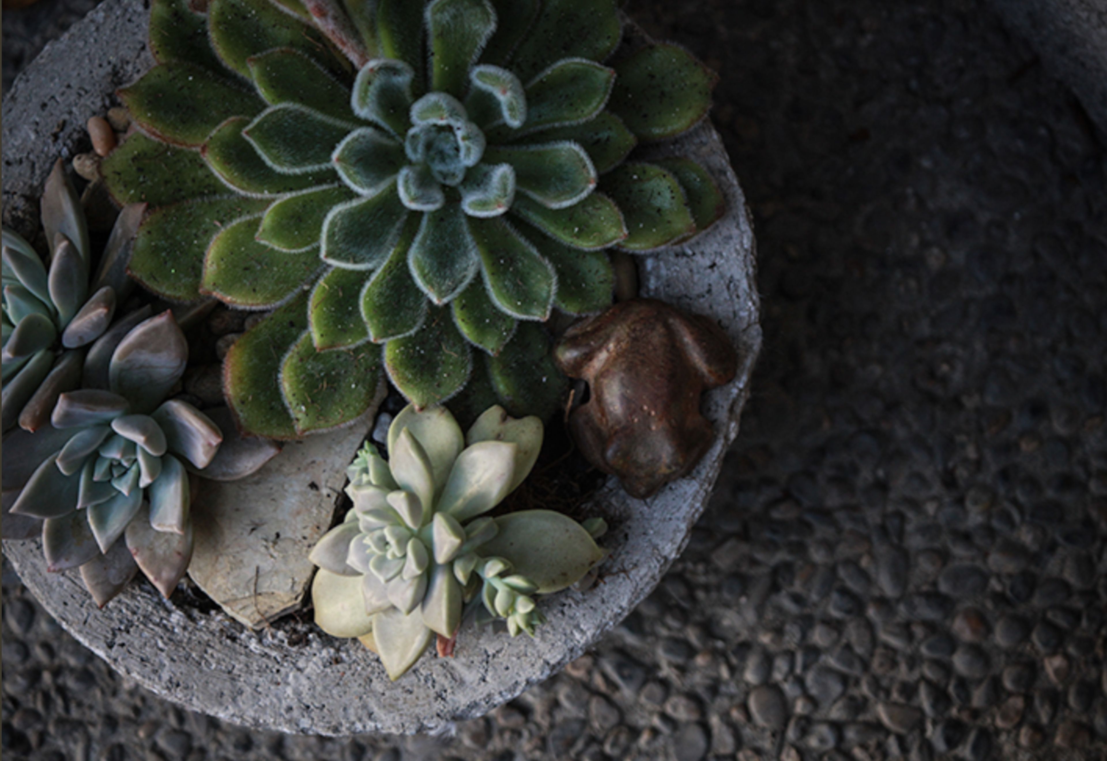 Cover photo of Emily Joubert