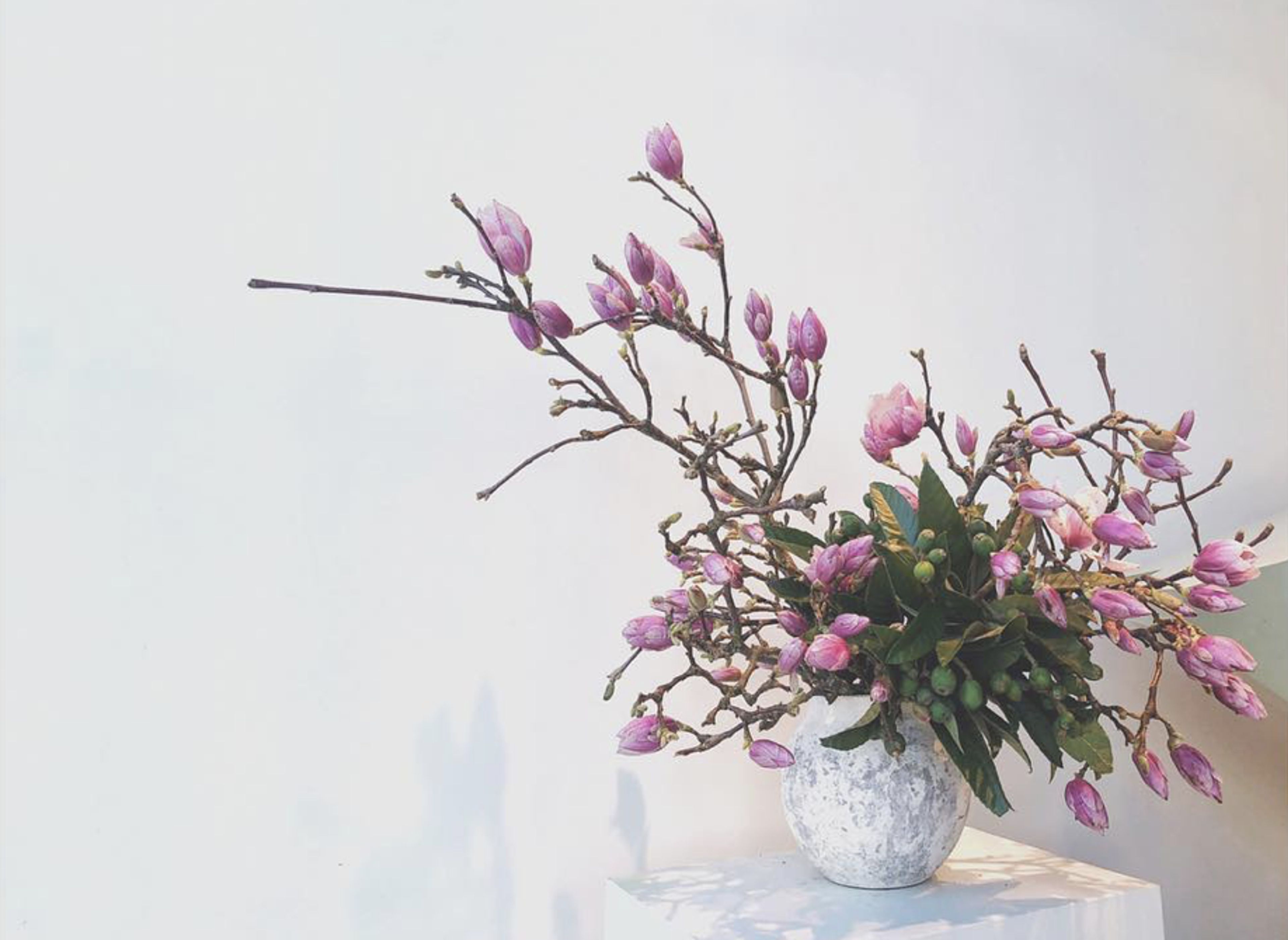 Cover photo of Flowerboy Project