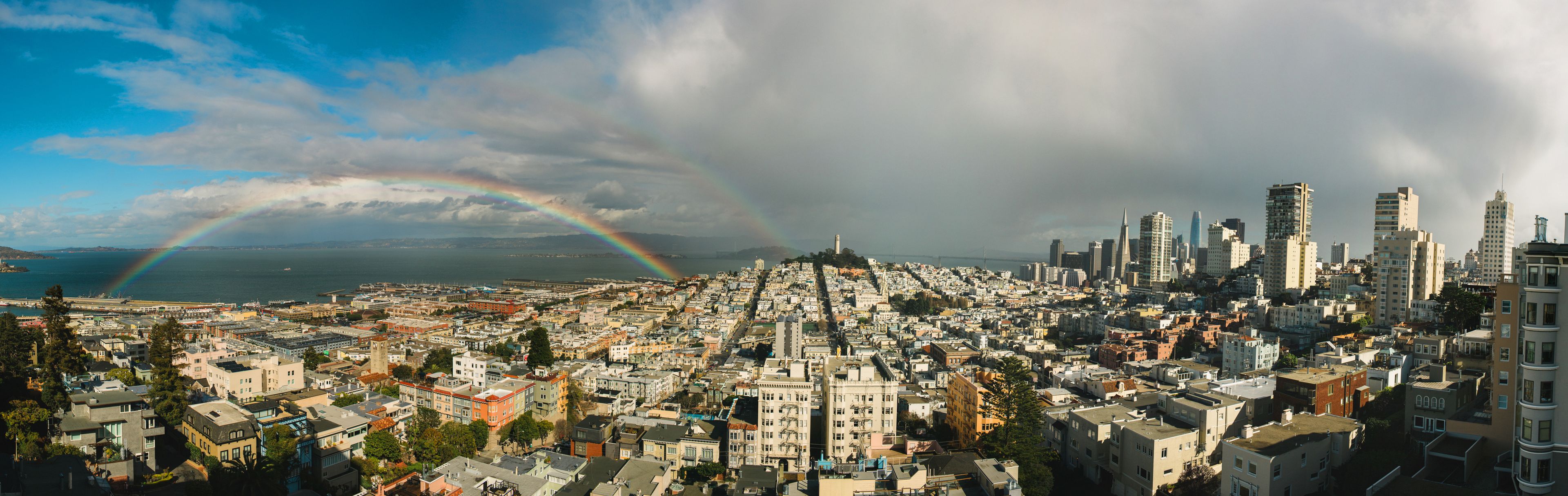 Cover photo of Hazel Photo