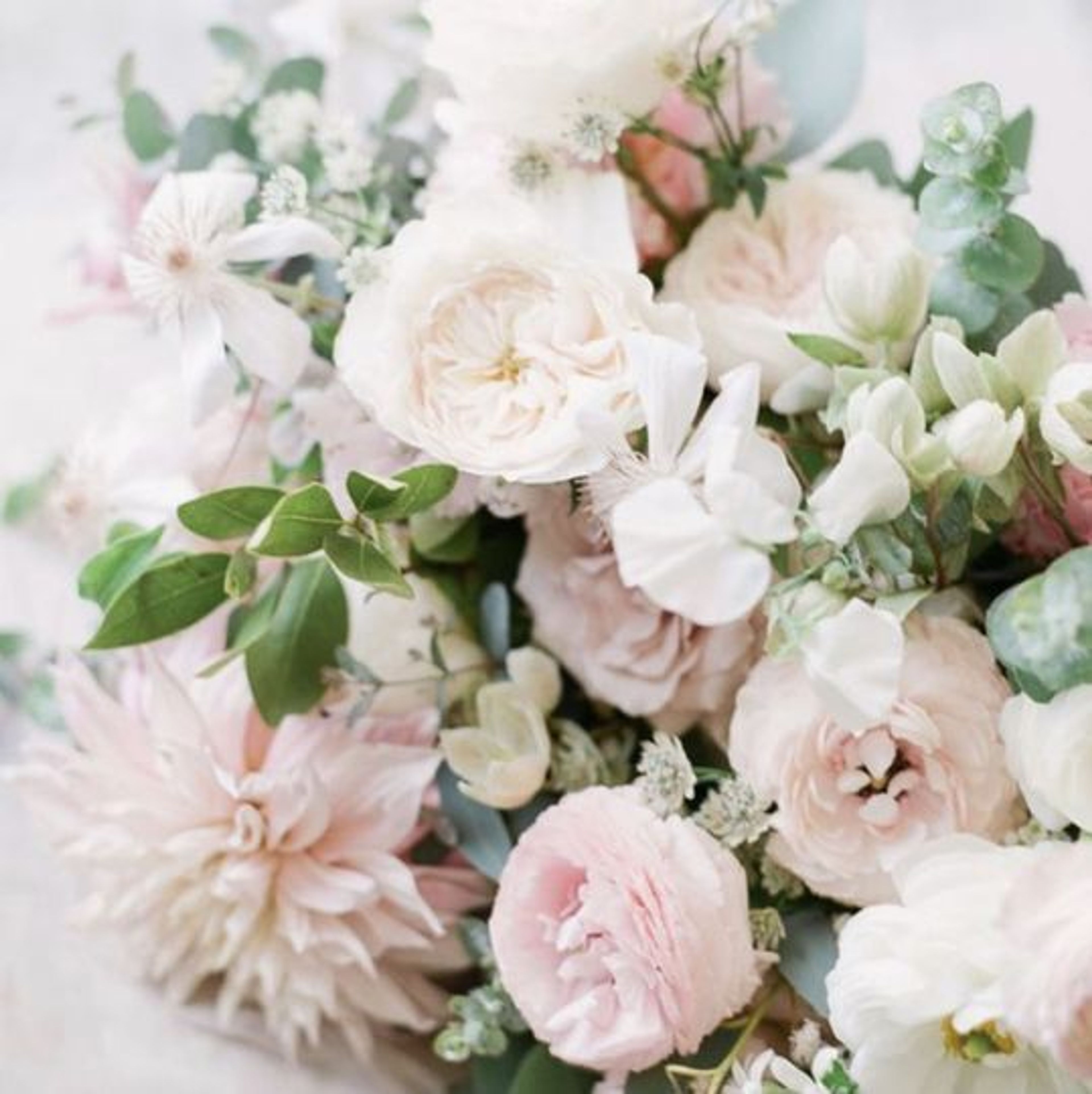 Cover photo of Farm & Fields