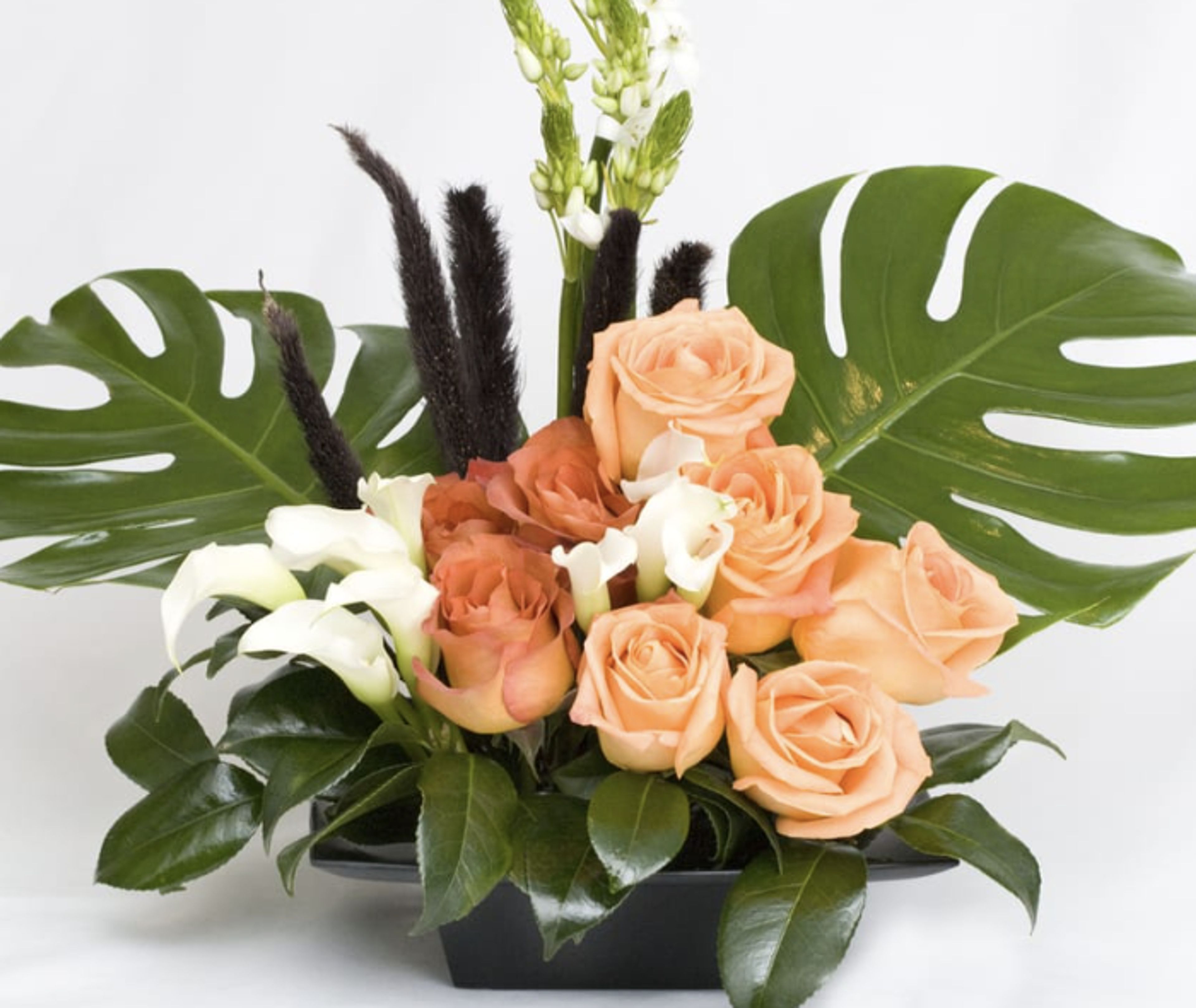 Cover photo of Romee's Garden