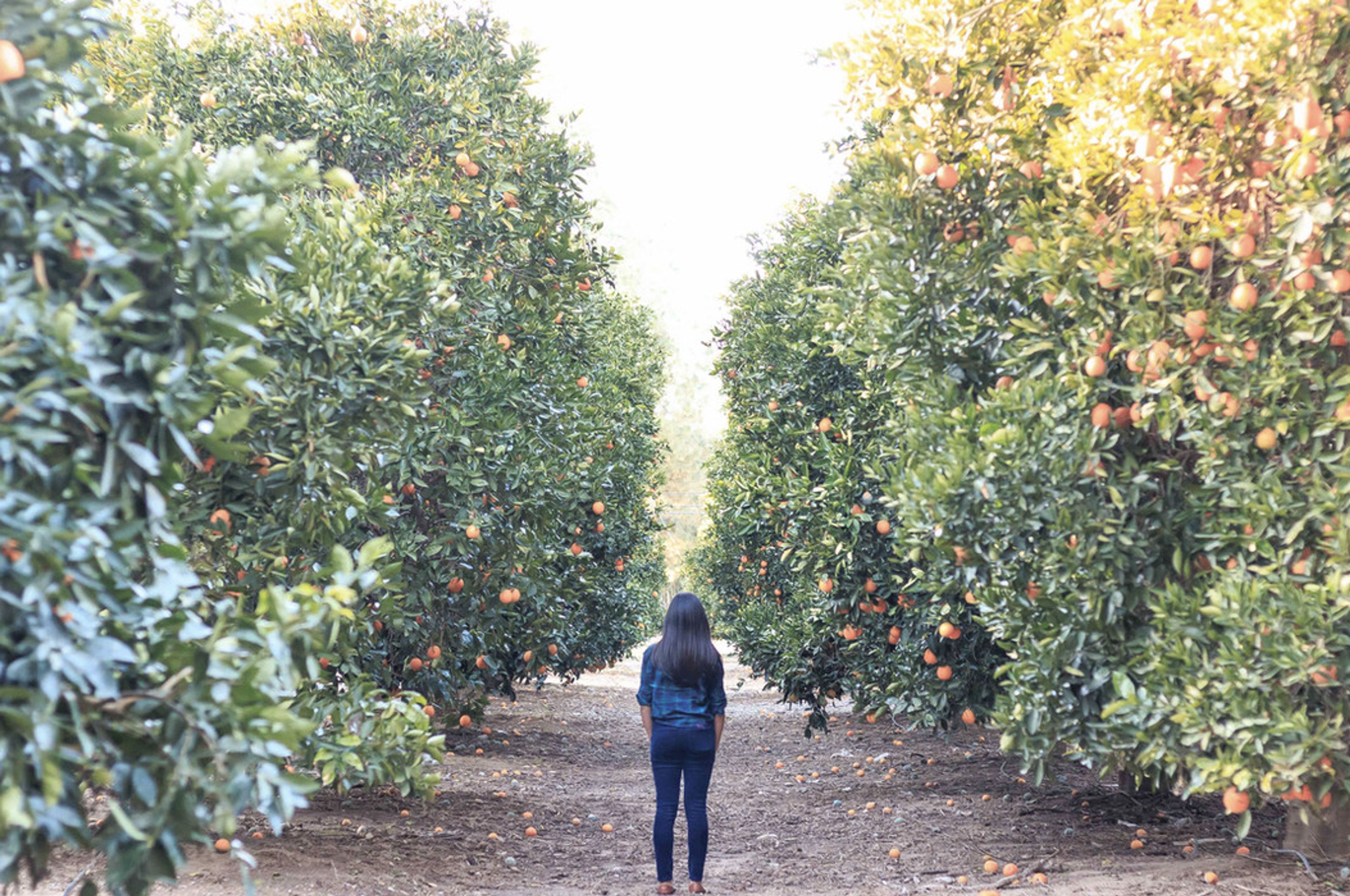 Cover photo of High Above Photography