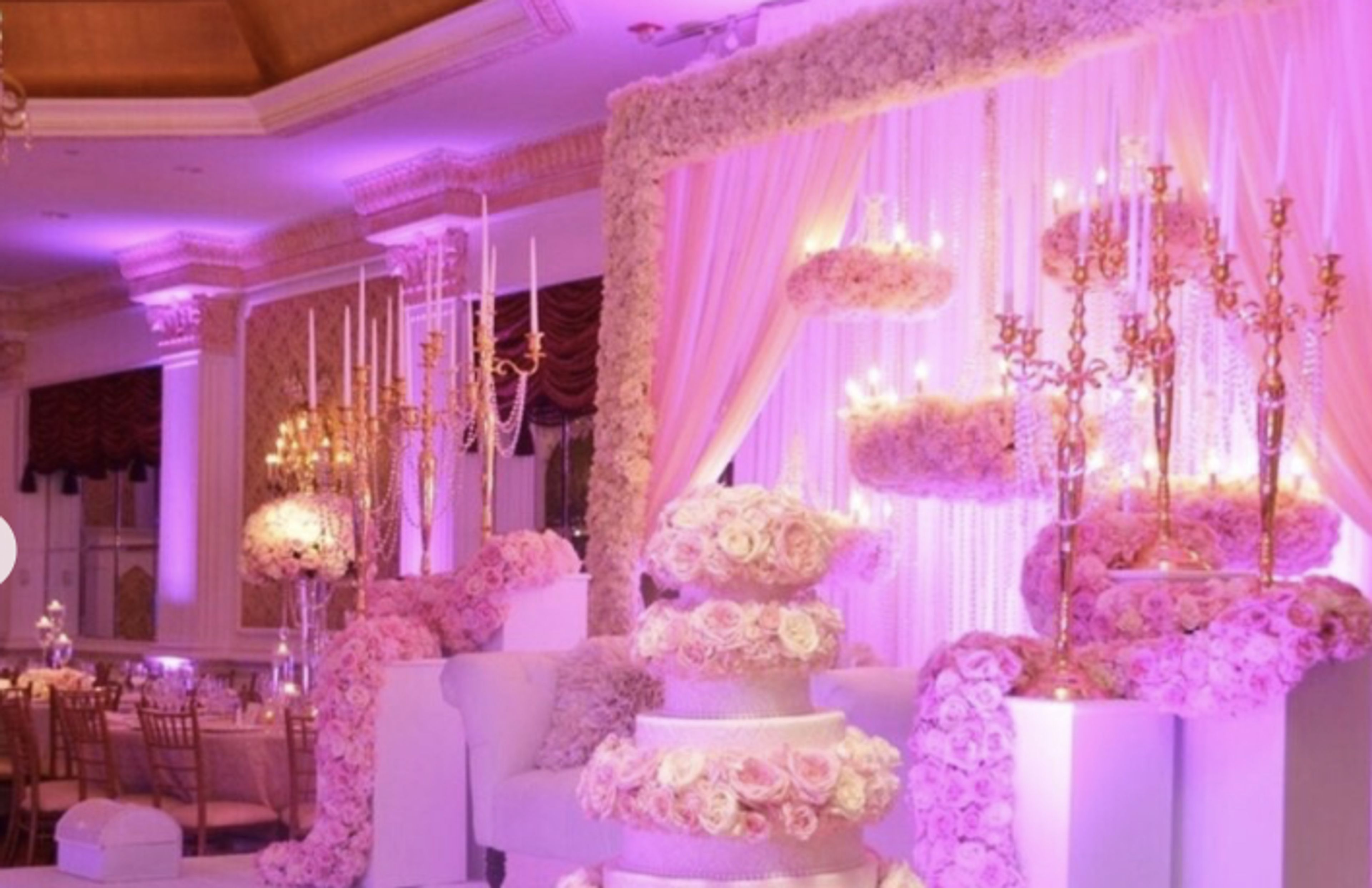 Cover photo of Buzzy Bee Flowers