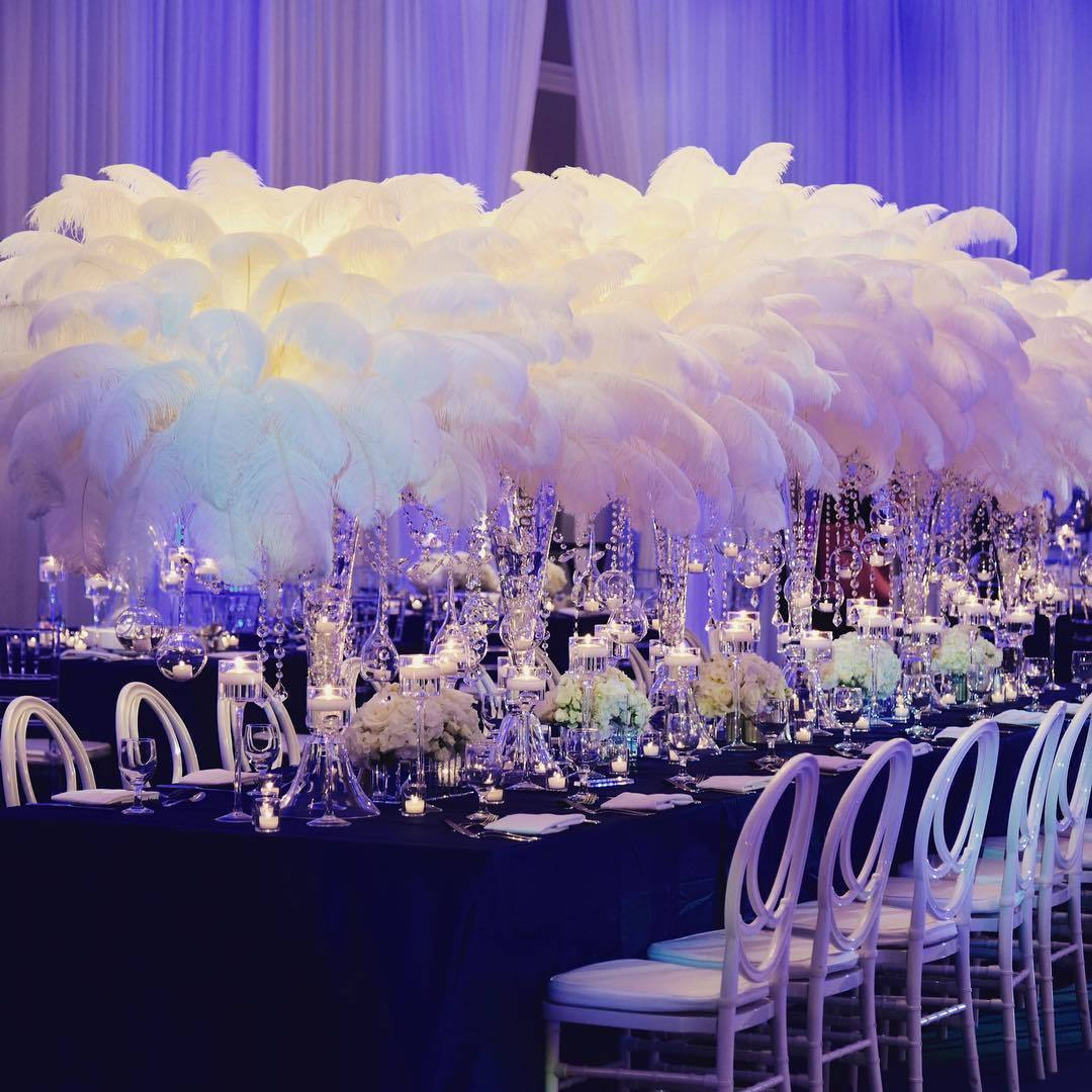 Cover photo of Fancy Faces