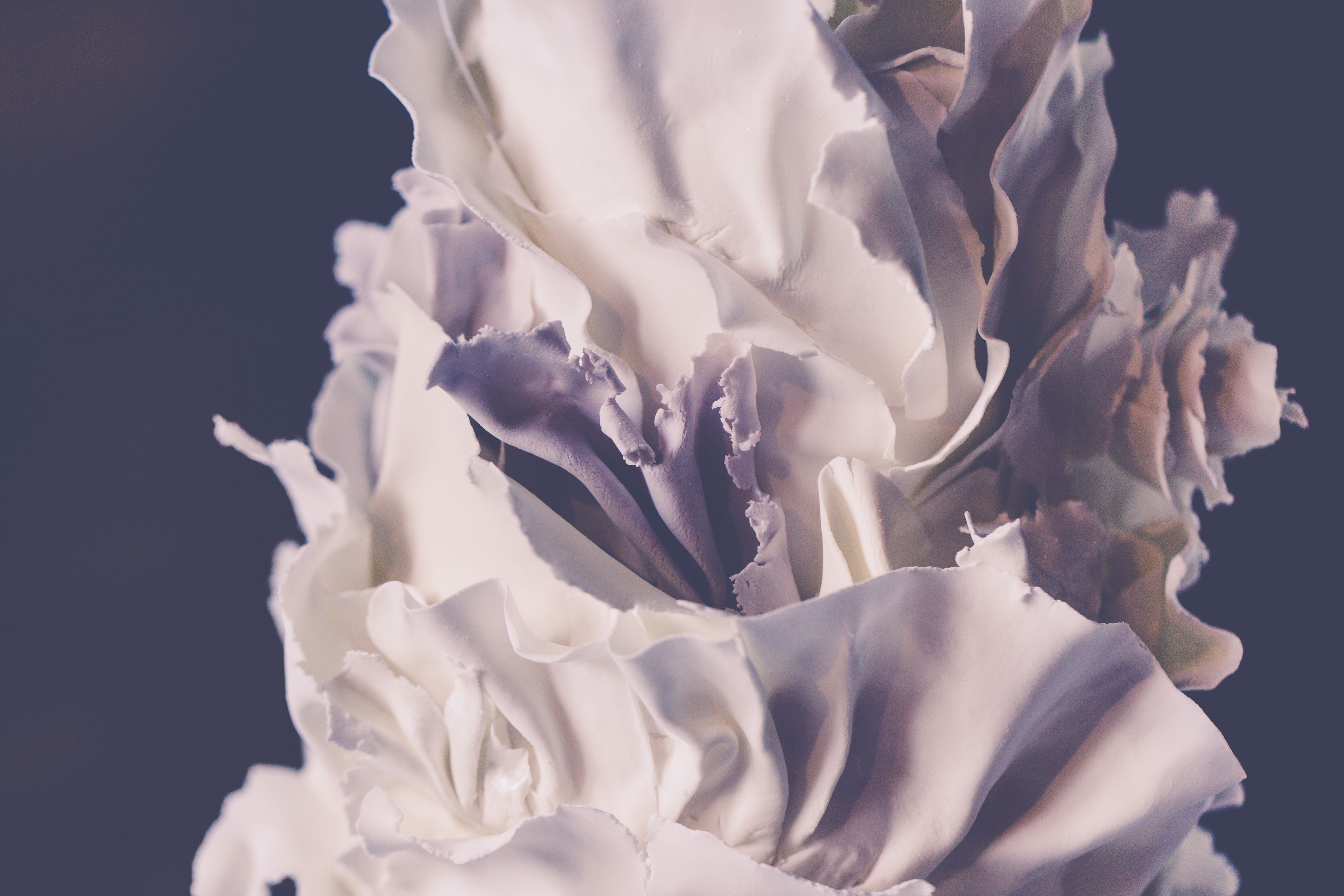 Cover photo of Cakebee