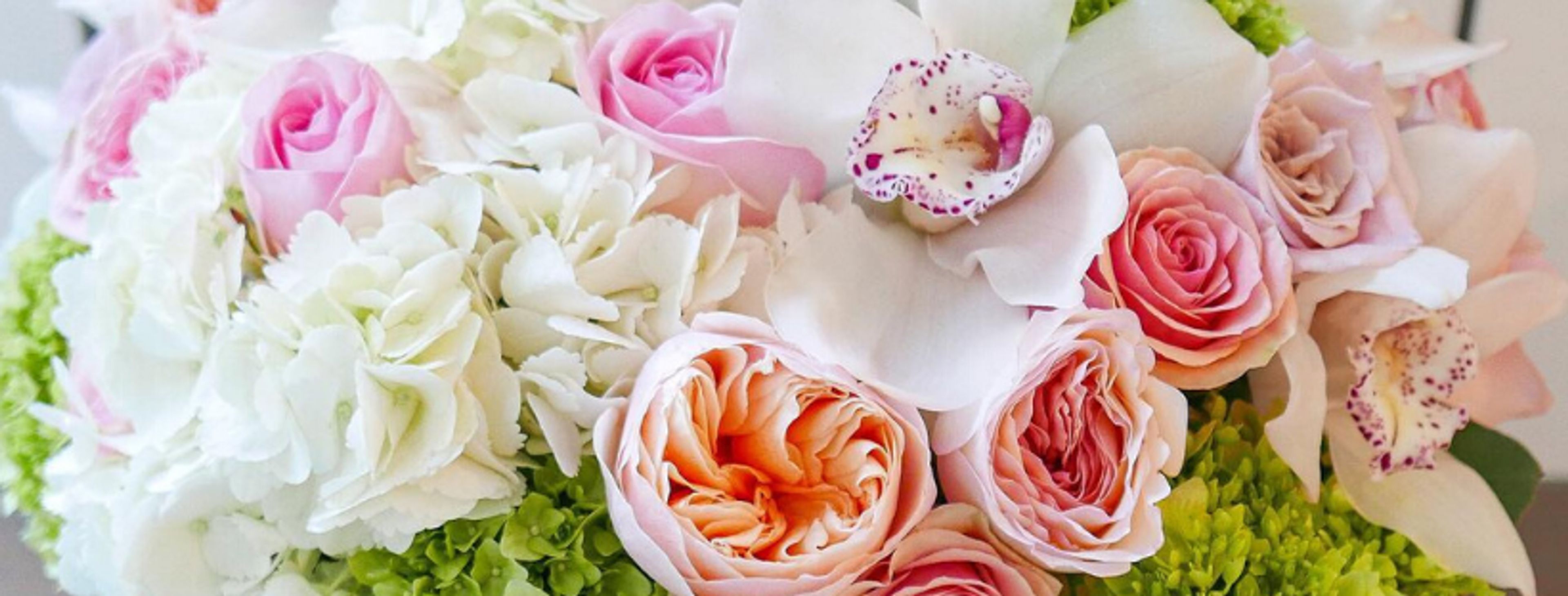 Cover photo of Scotts Flowers NYC