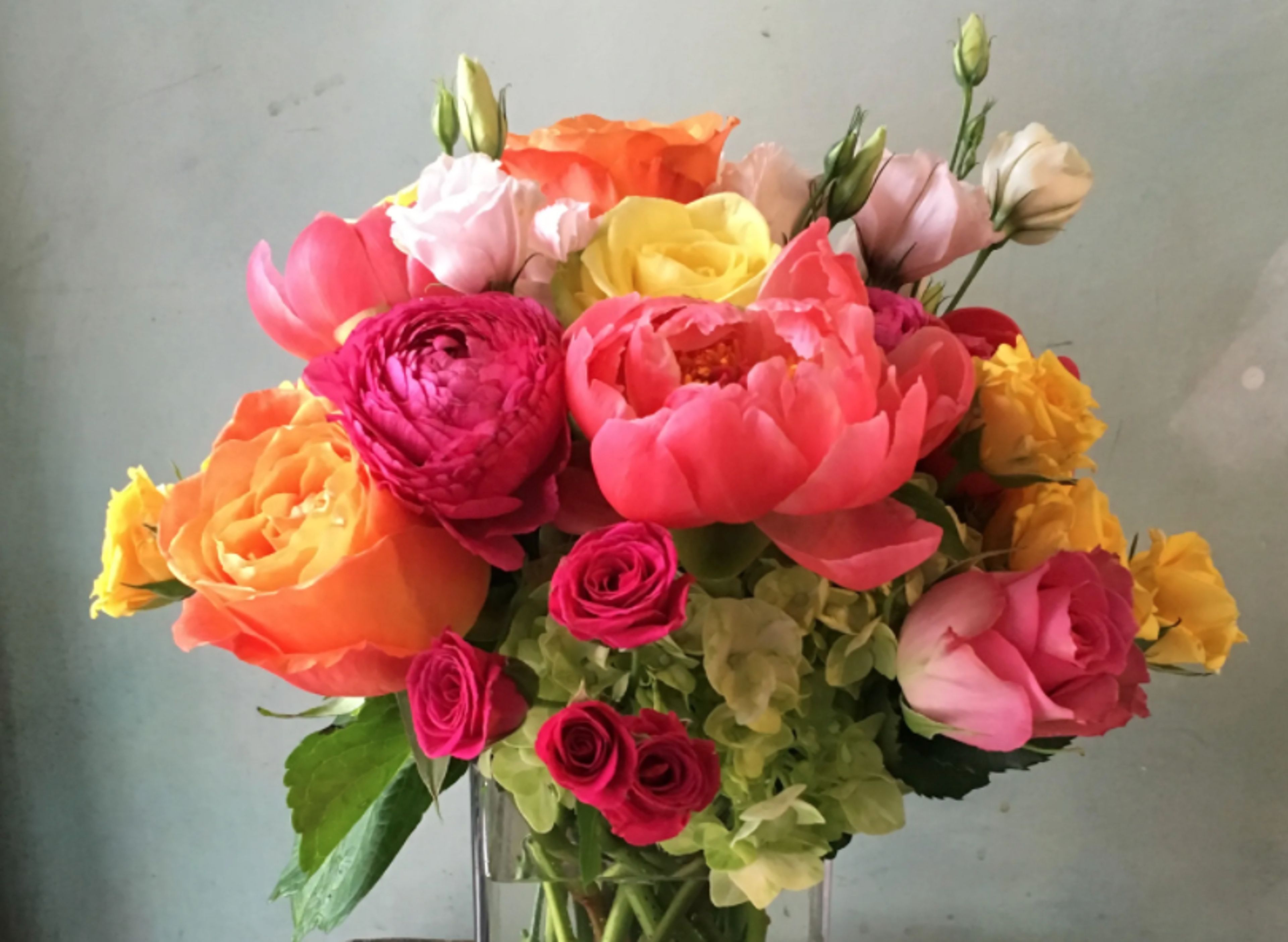 Cover photo of Blue Water Flowers