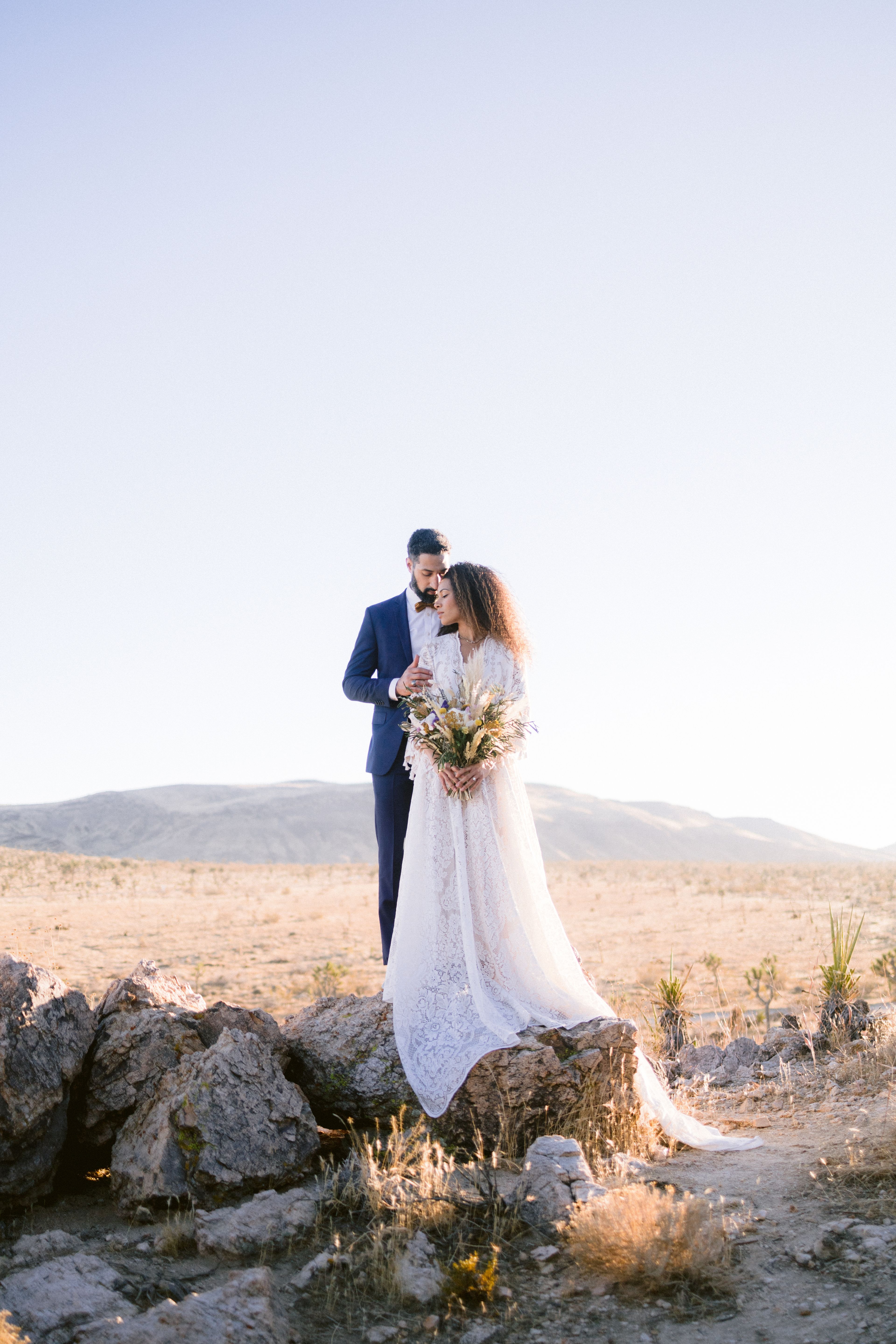 Cover photo of Seas Mtns Co