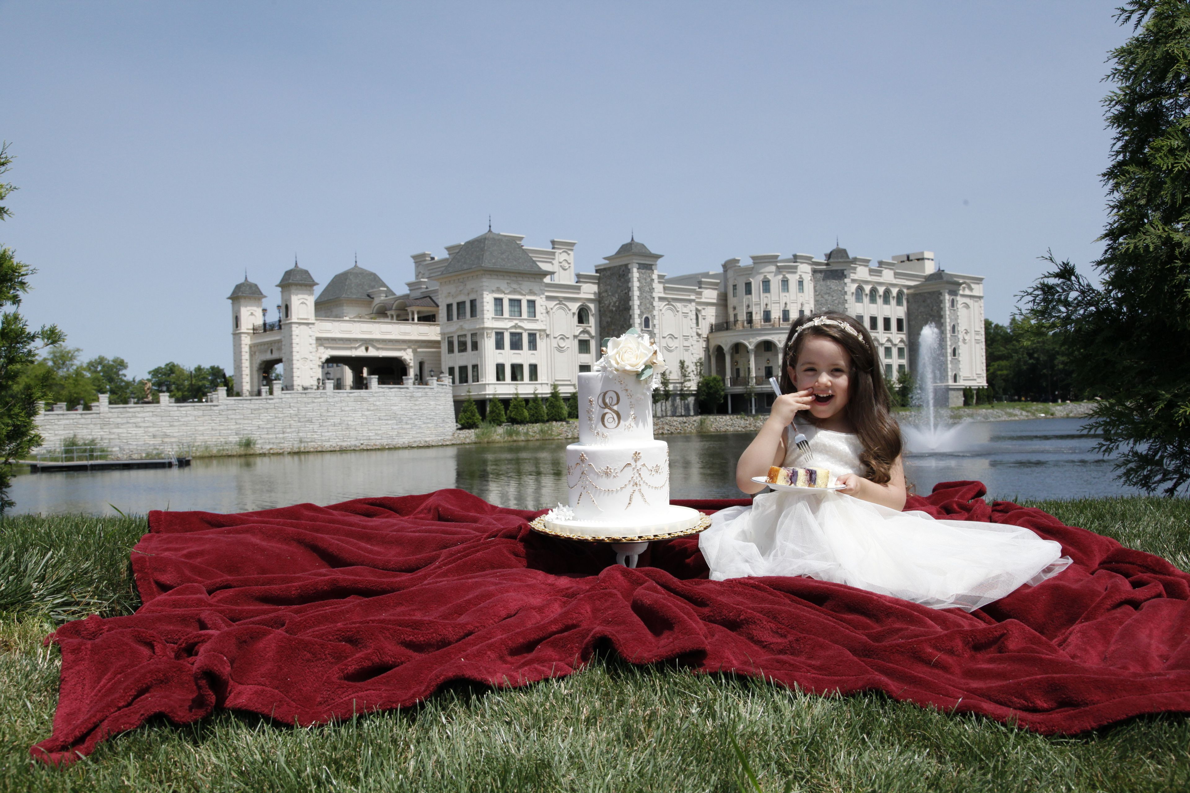 Cover photo of The Legacy Castle