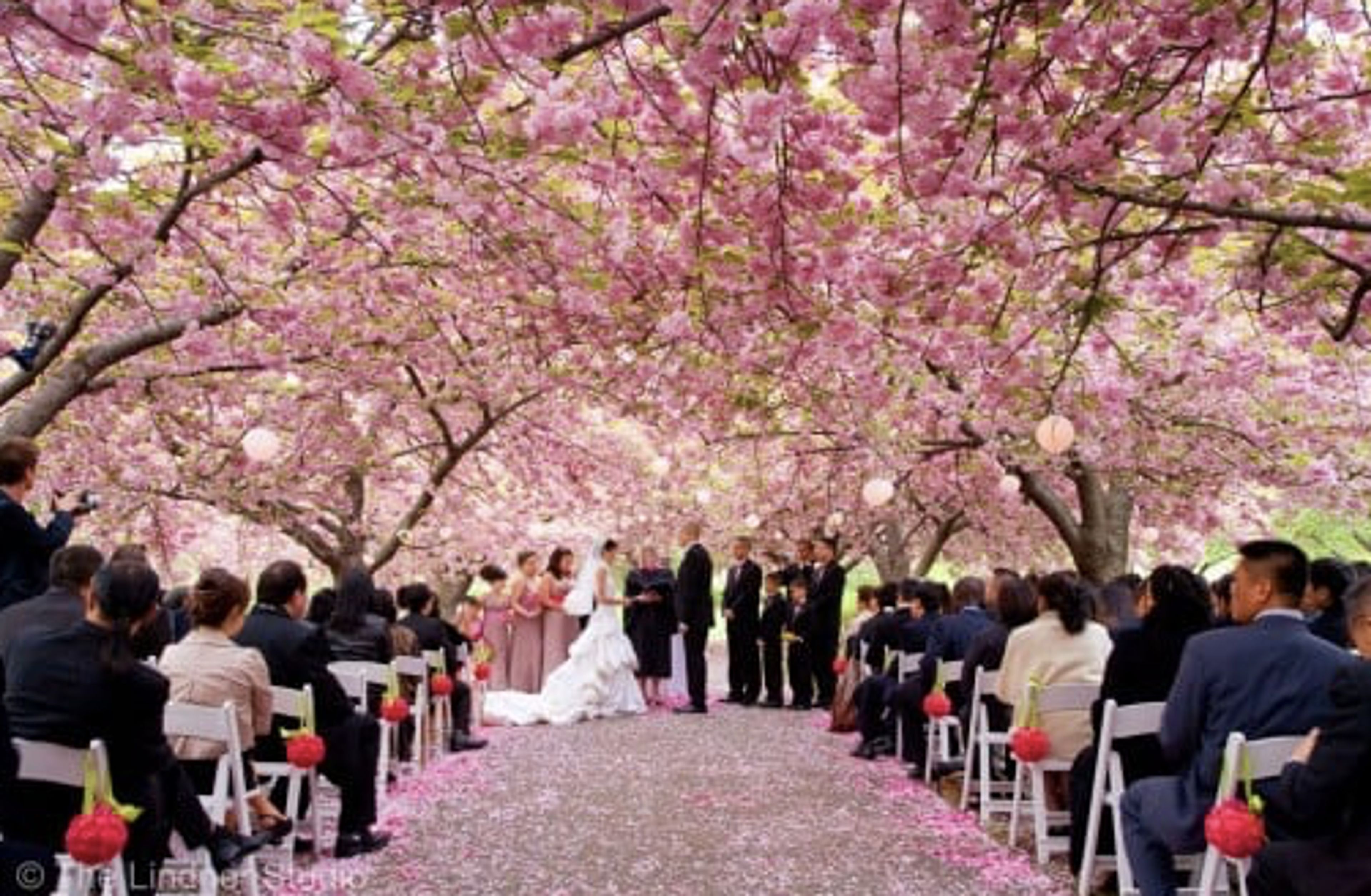 Cover photo of Mel Furukawa Design