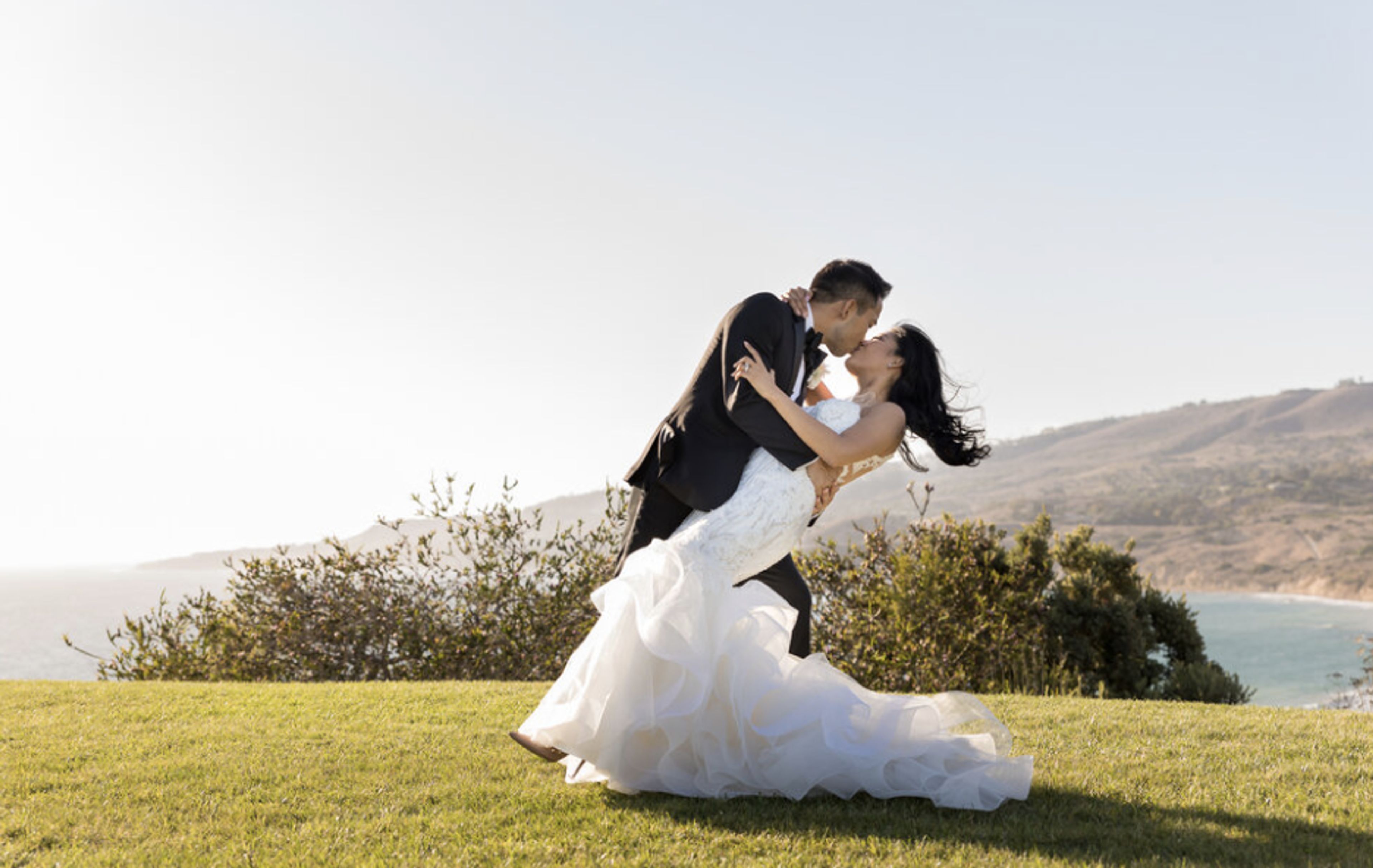 Cover photo of The Owl Weddings