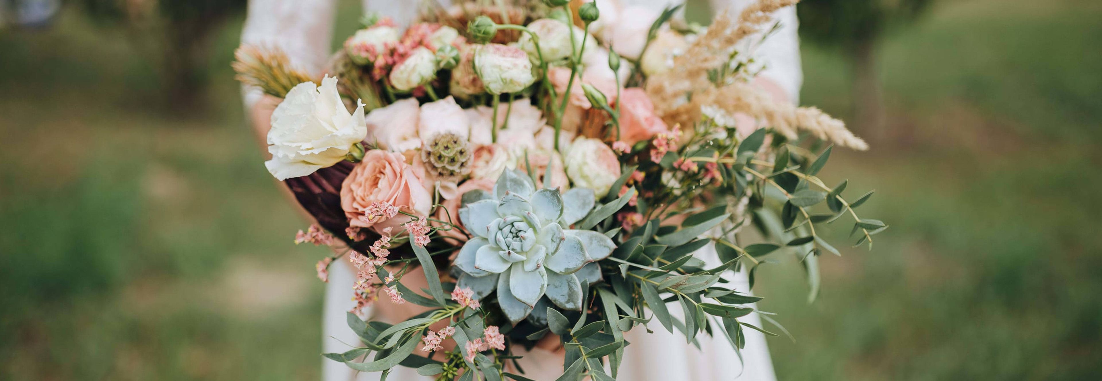 Cover photo of Bella Gardens