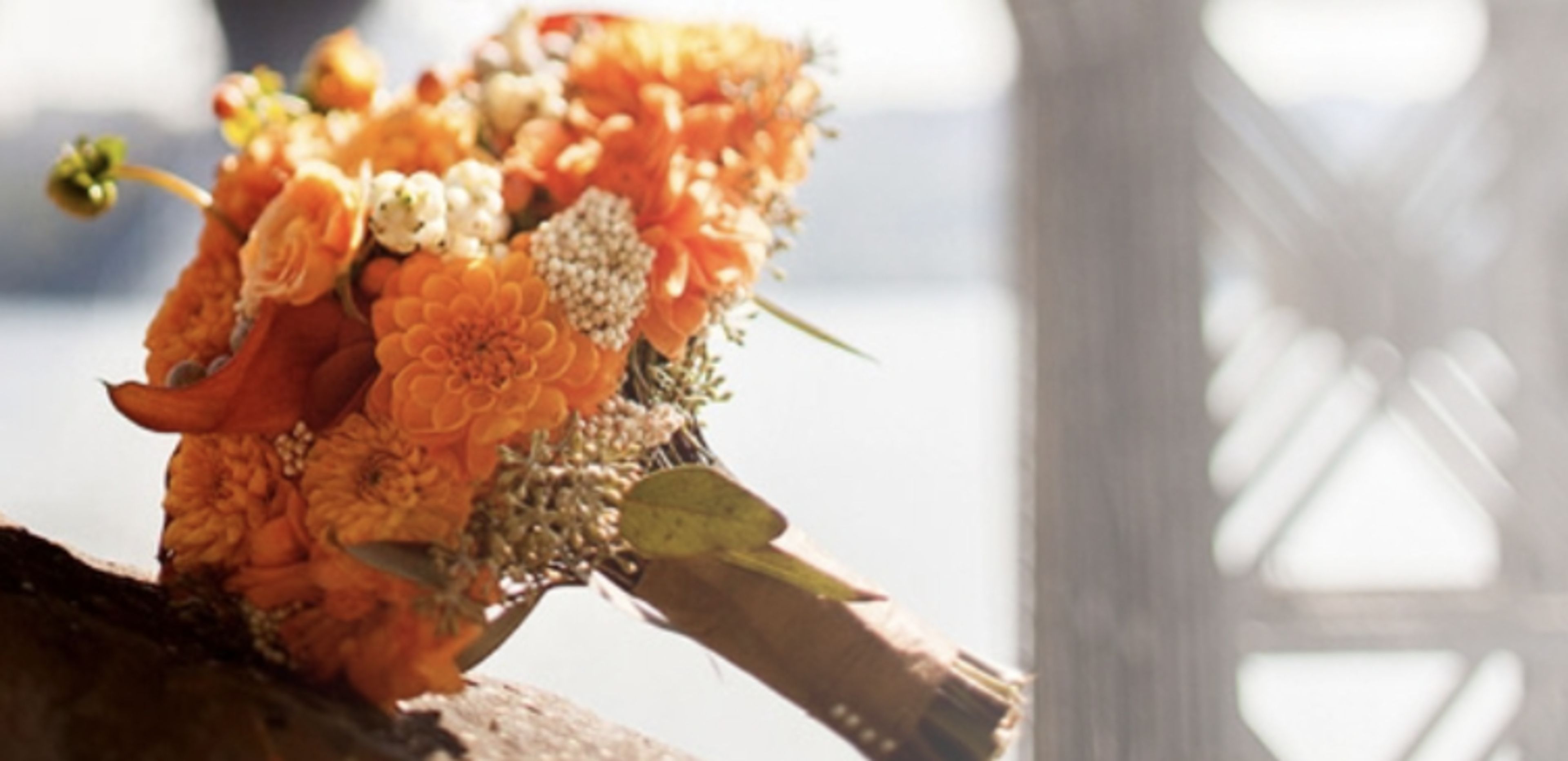 Cover photo of Sylvan Grace Florist