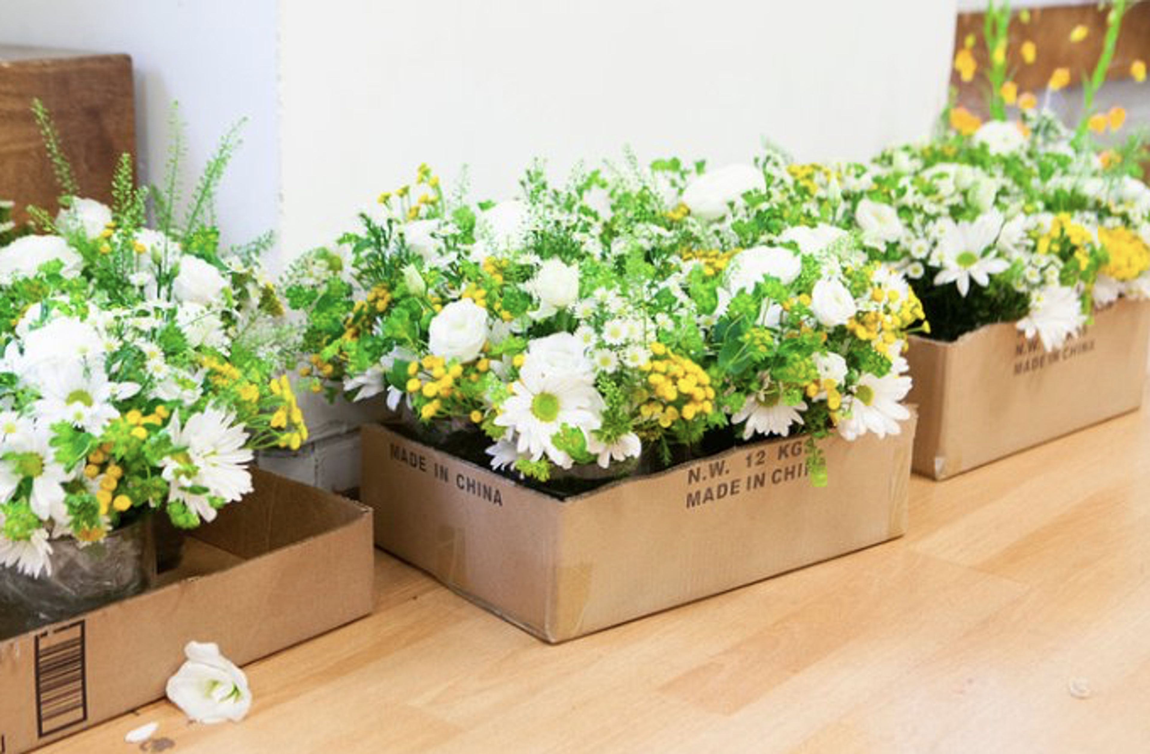 Cover photo of The Secret Garden