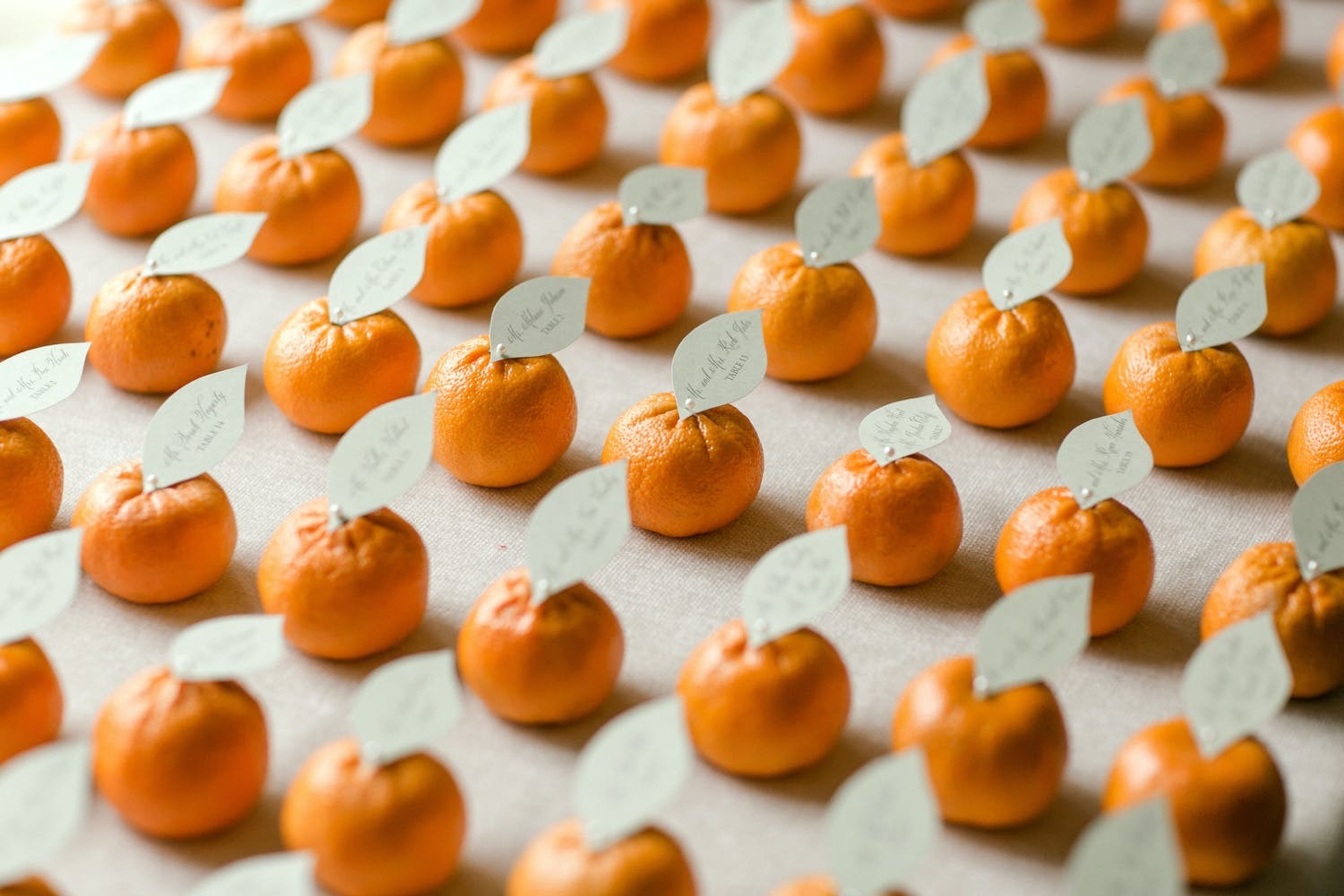 Cover photo of Katie & Co.