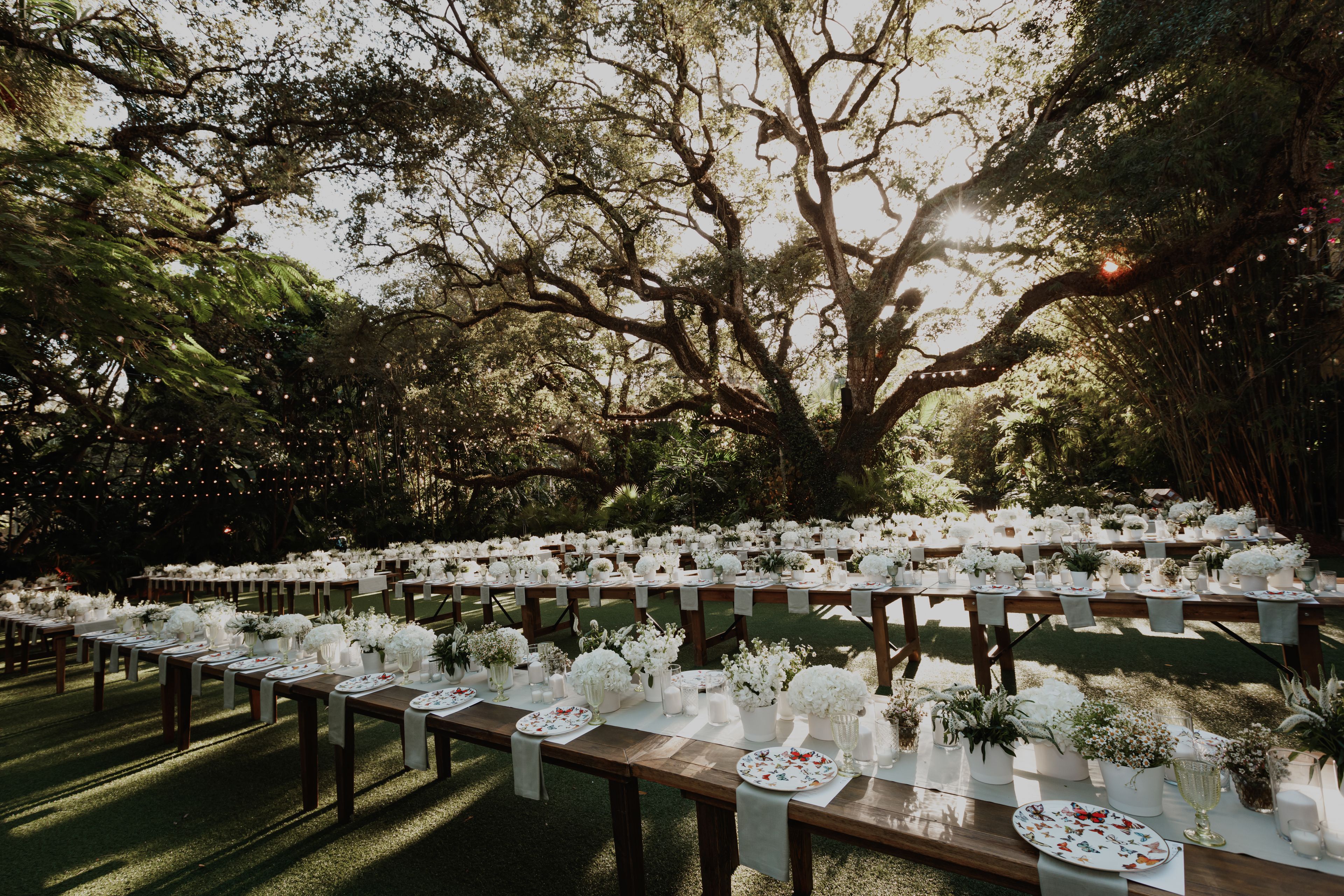 Cover photo of Ofir creative