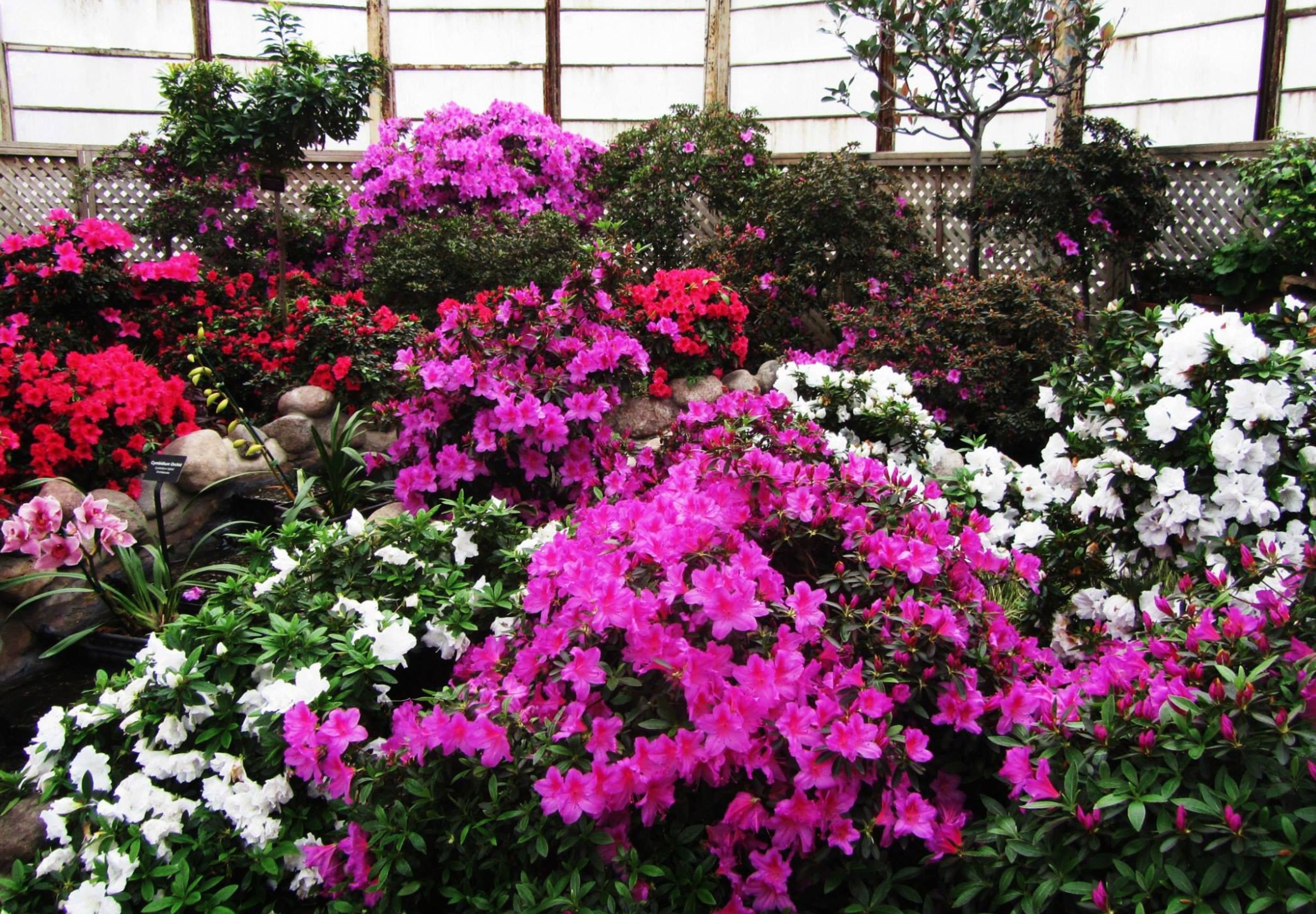 Cover photo of Douglas Park Cultural and Community Center