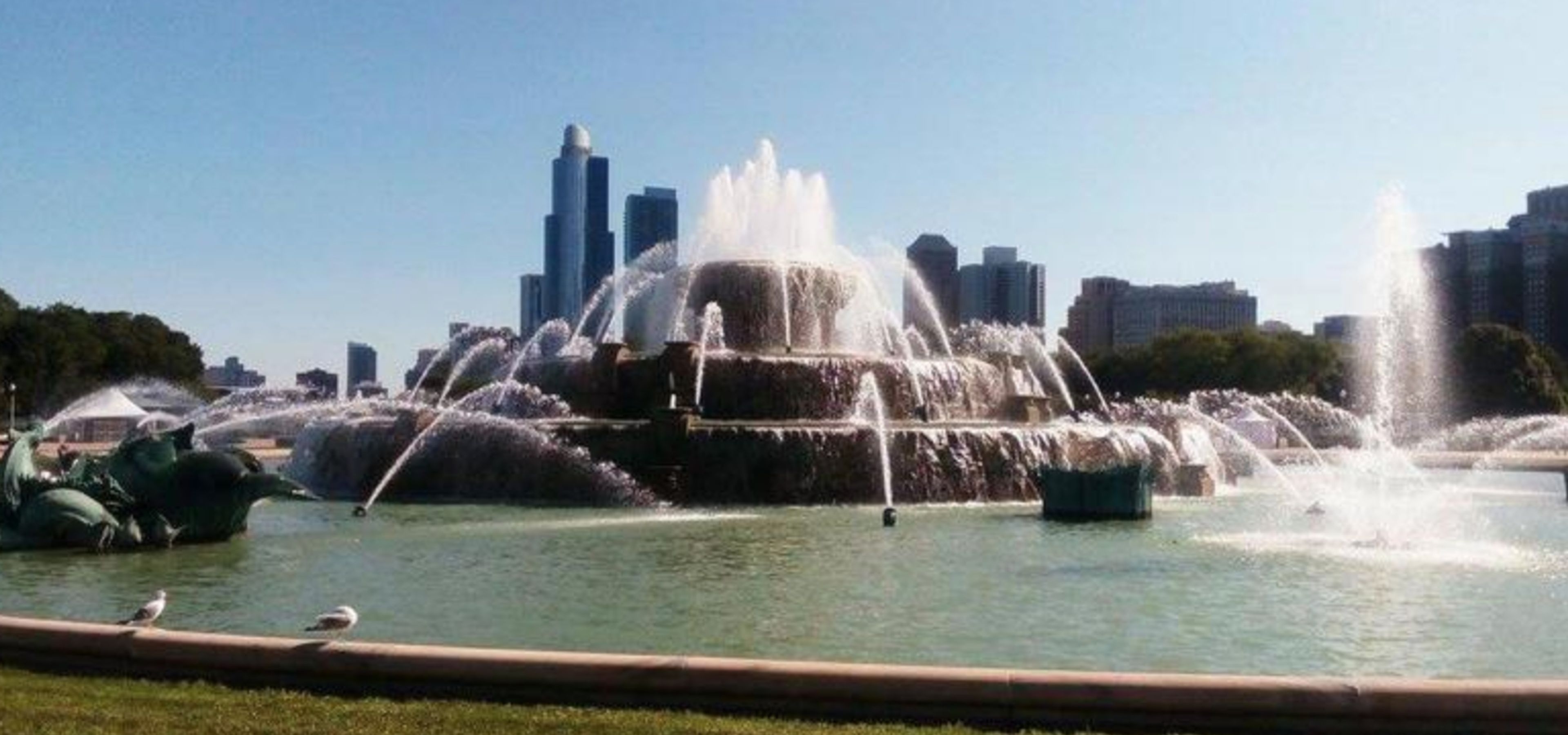 Cover photo of North Rose Garden at Buckingham Fountain