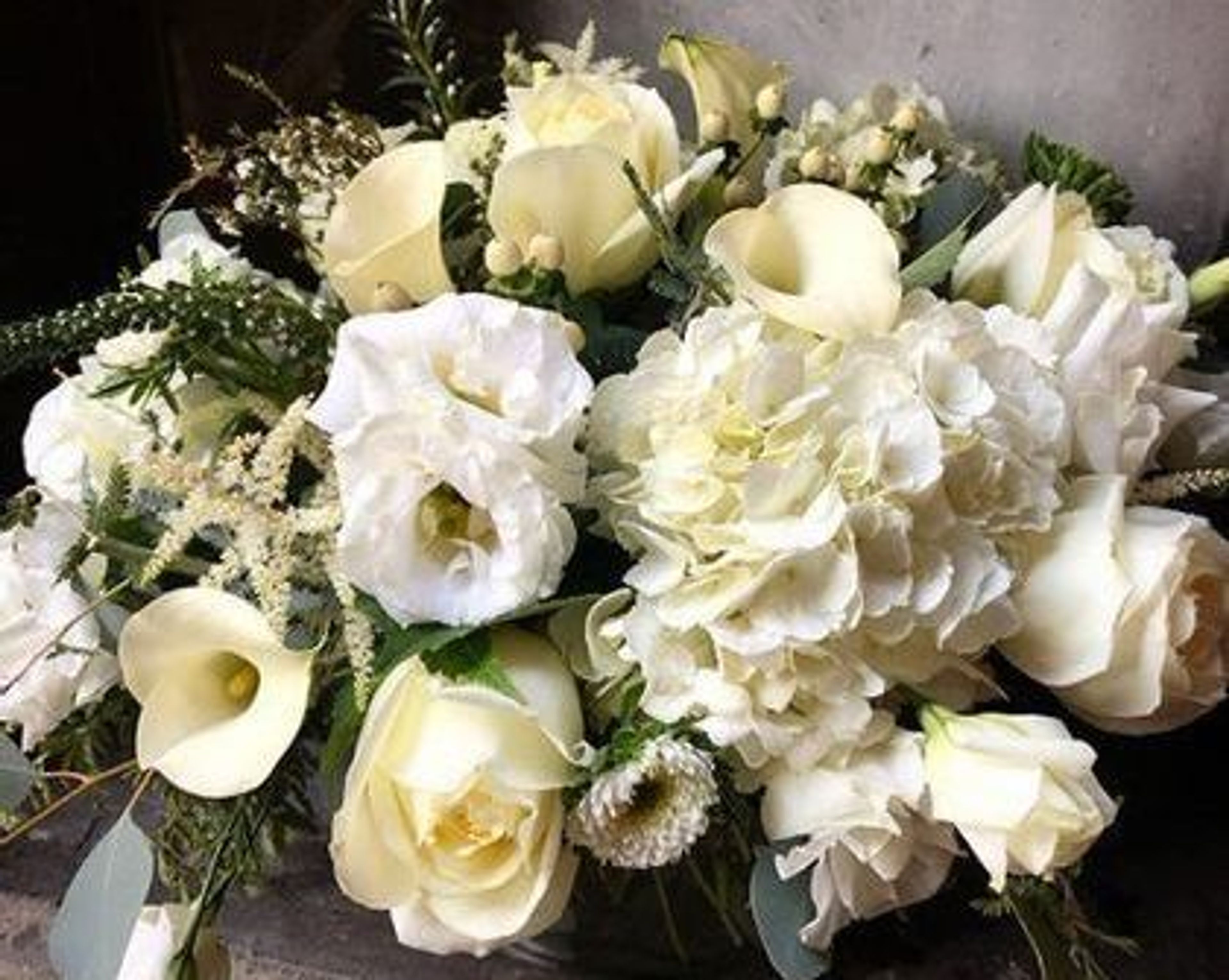 Cover photo of Halsted Flowers