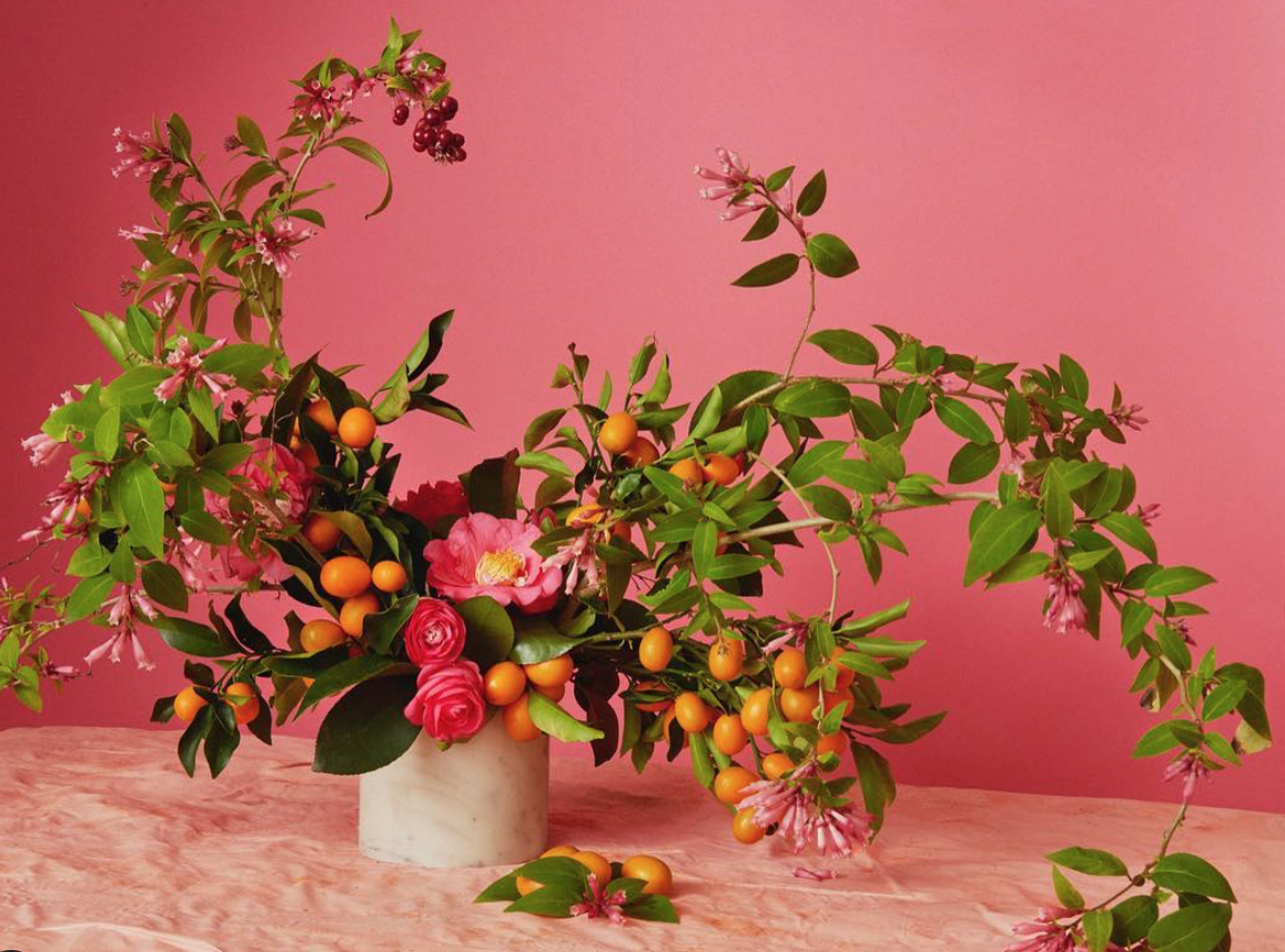 Cover photo of Hollyflora