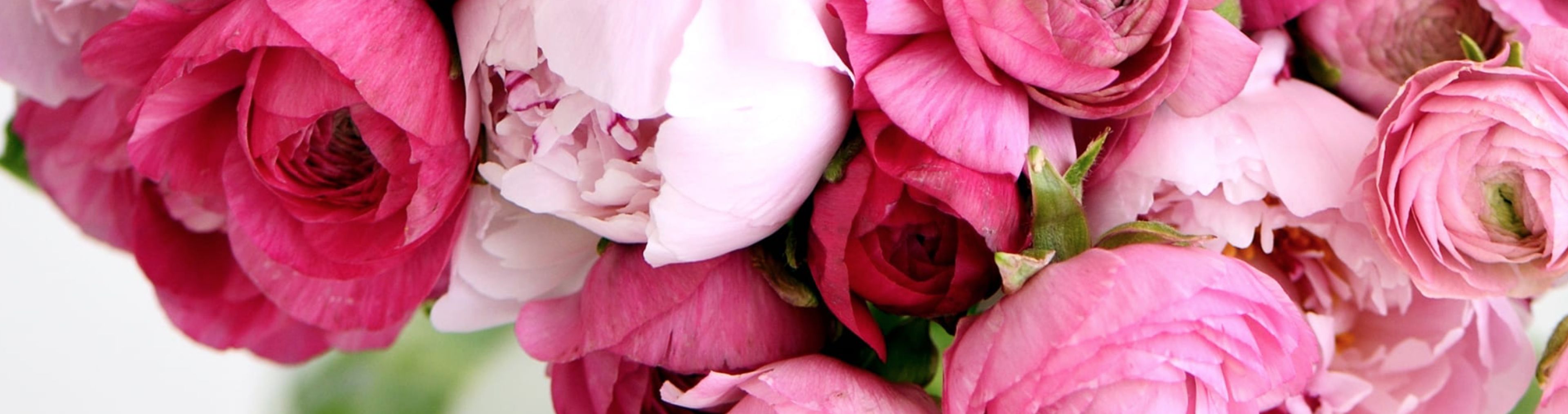 Cover photo of Kara-Bala Flower Shop