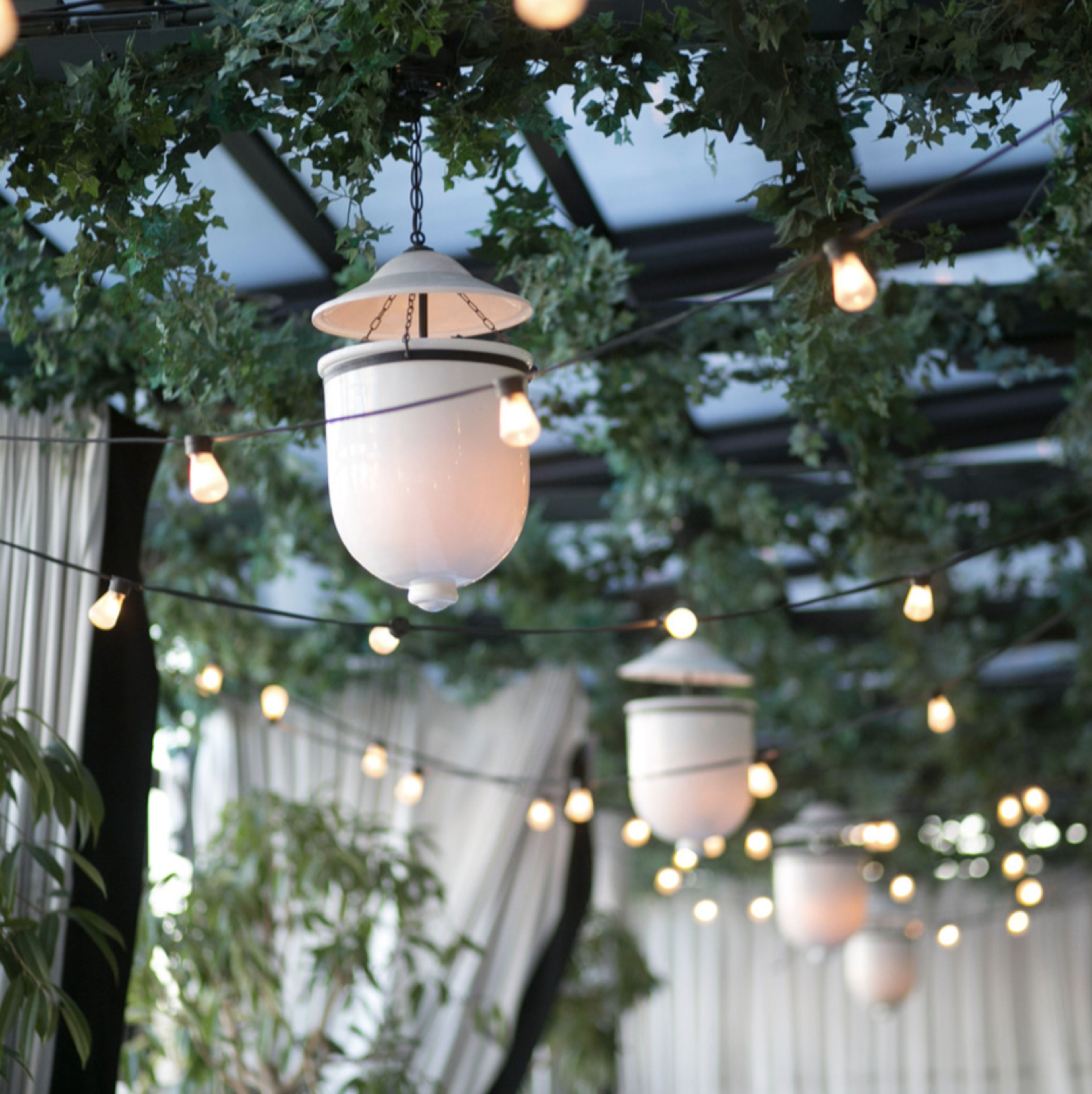 Cover photo of Paige Alexandra Relations