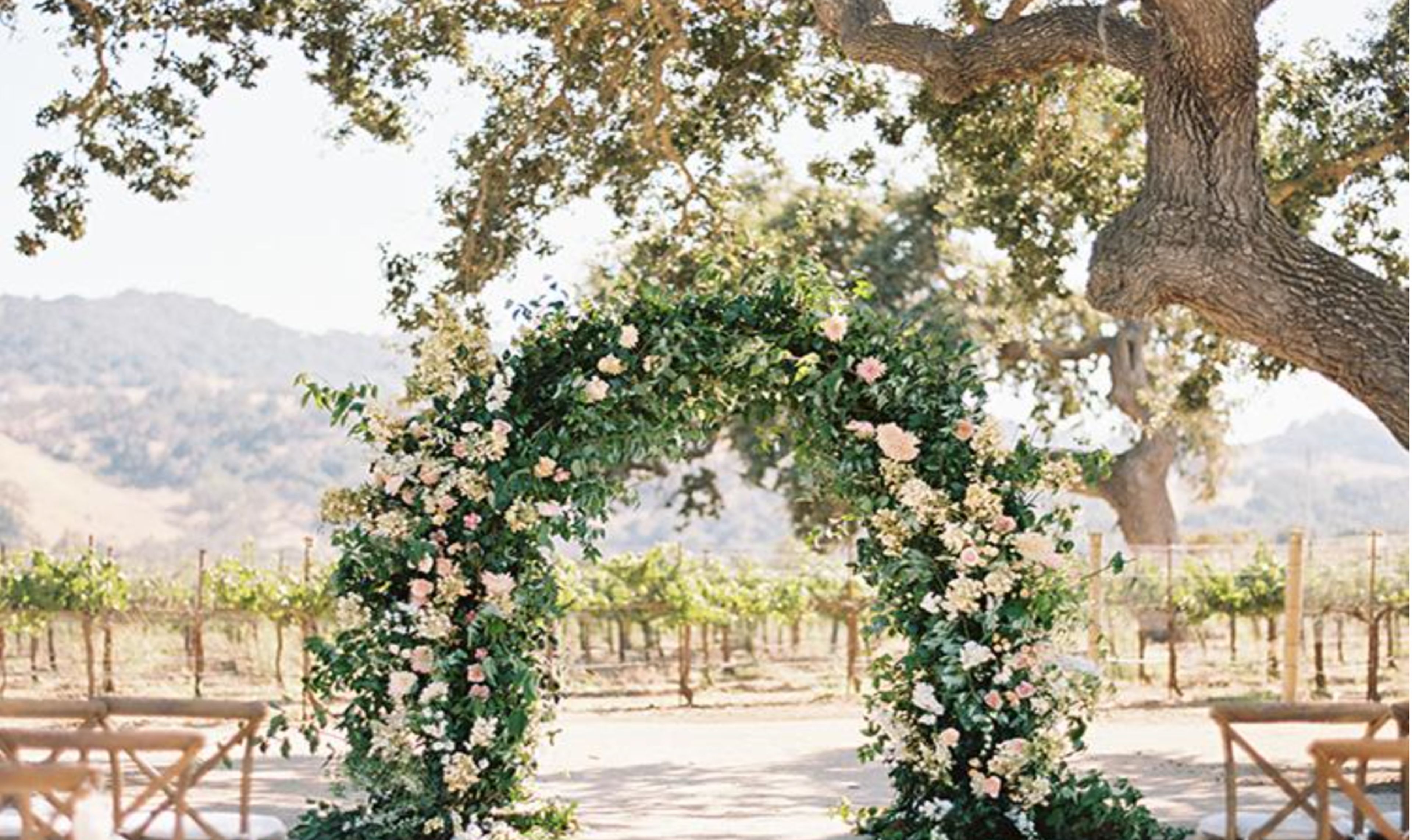 Cover photo of Kelly Kaufman Design