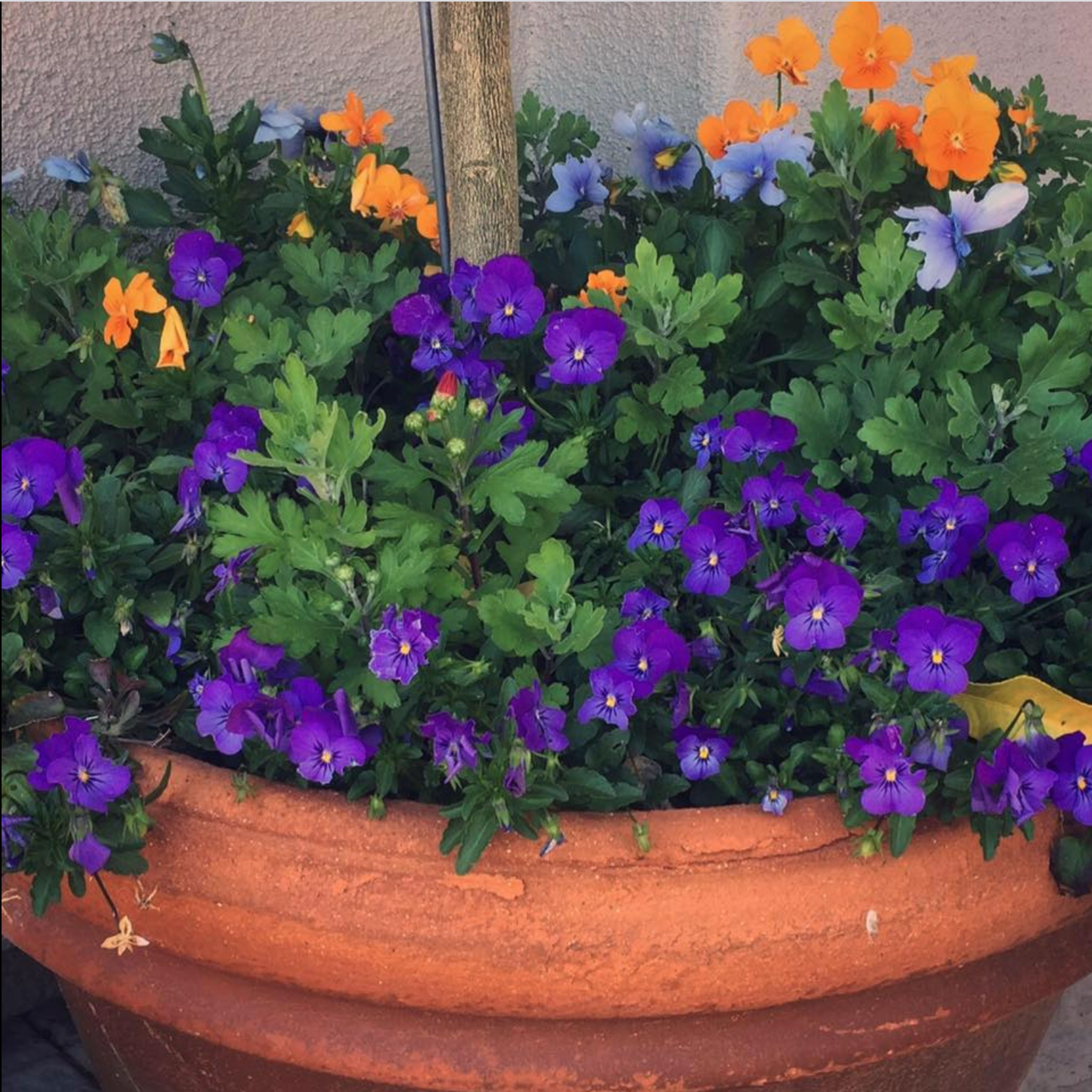 Cover photo of Brad Larsen Floral's