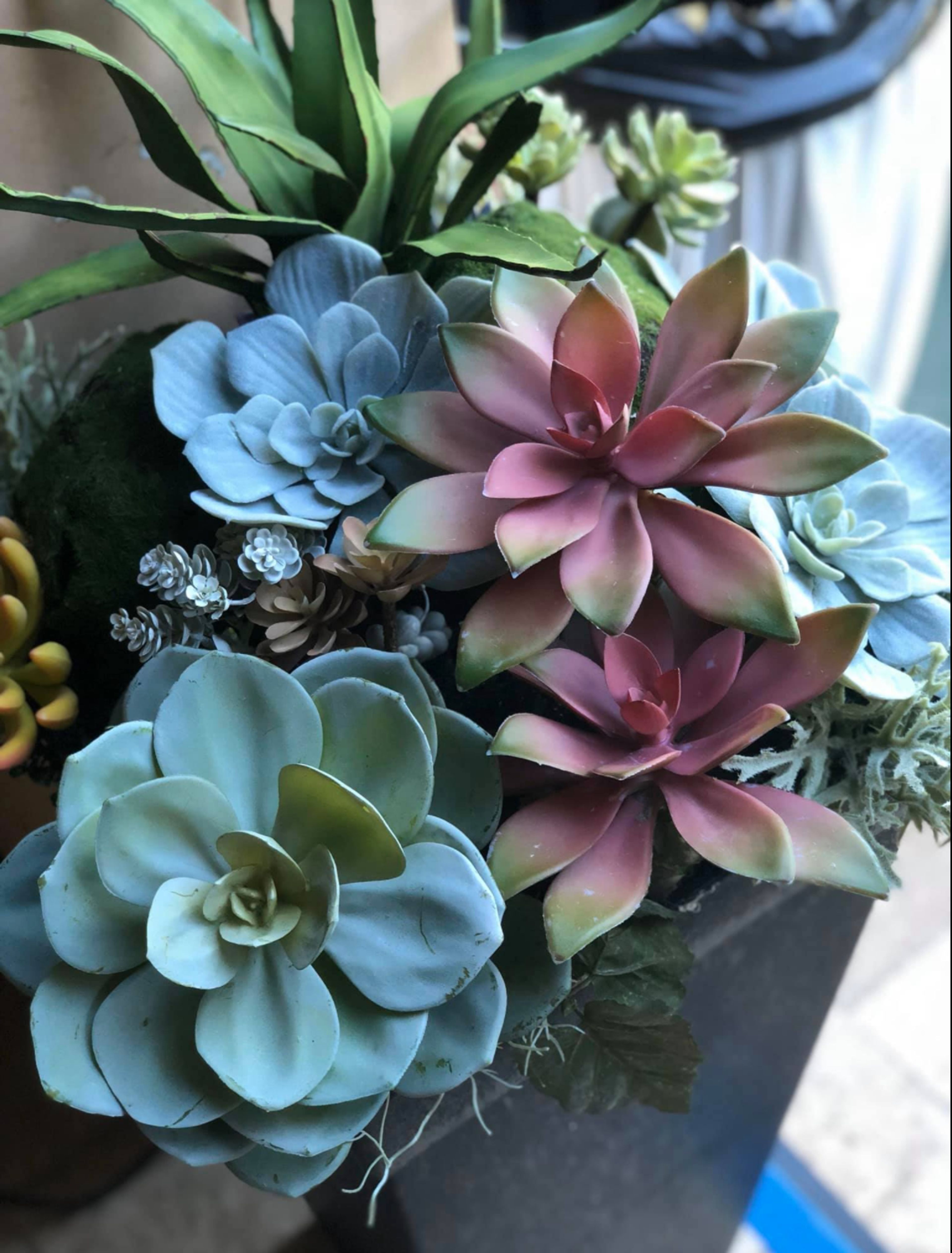 Cover photo of Cesar Haro Design