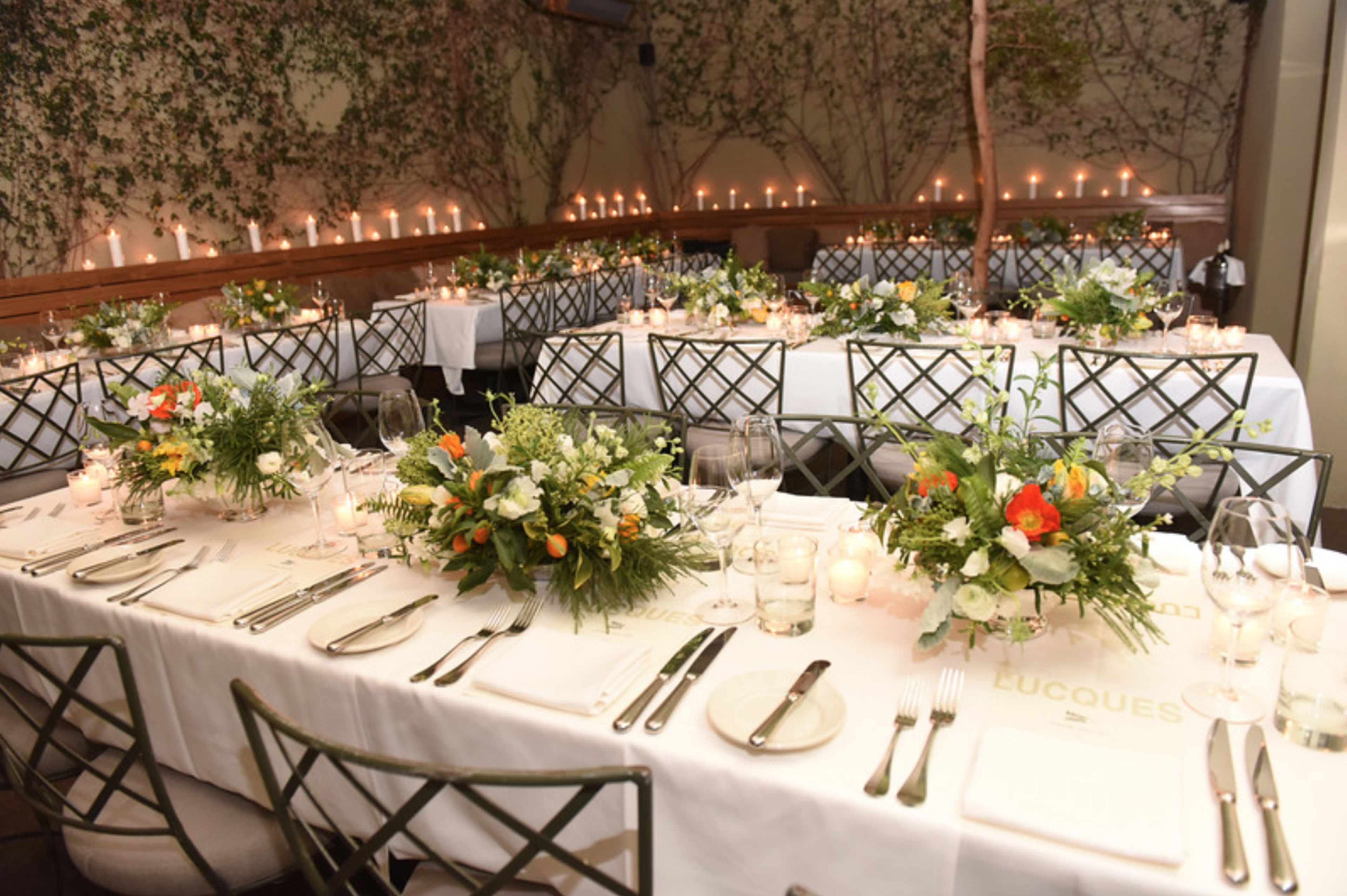 Cover photo of Lily Lodge