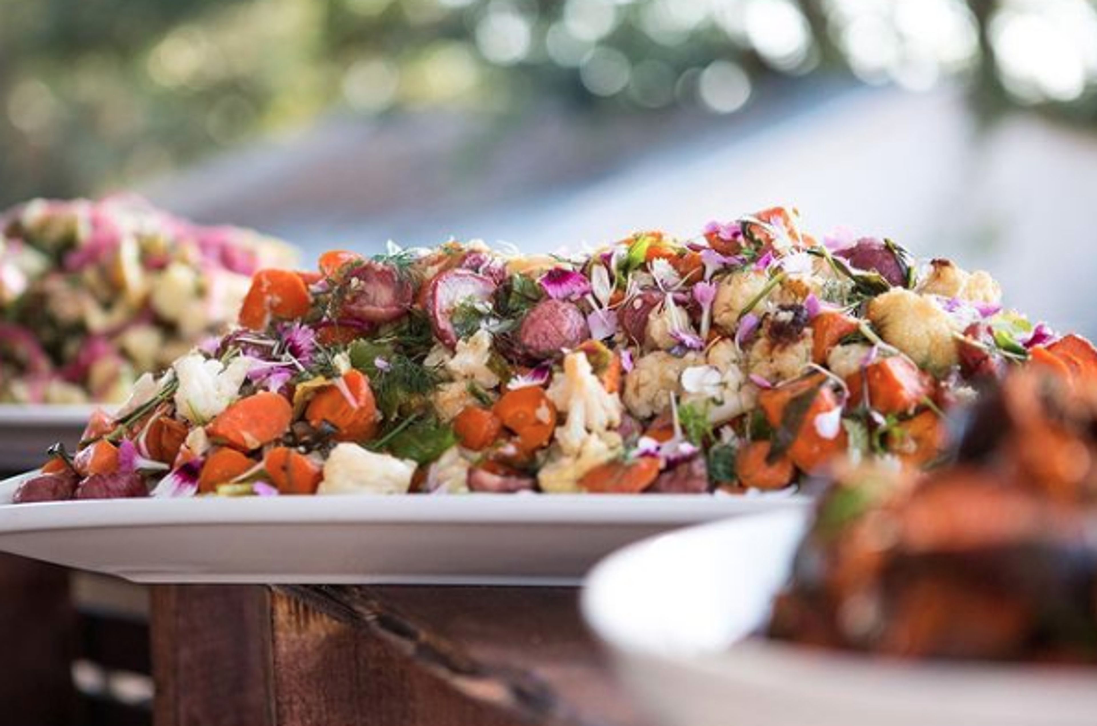 Cover photo of Cisne