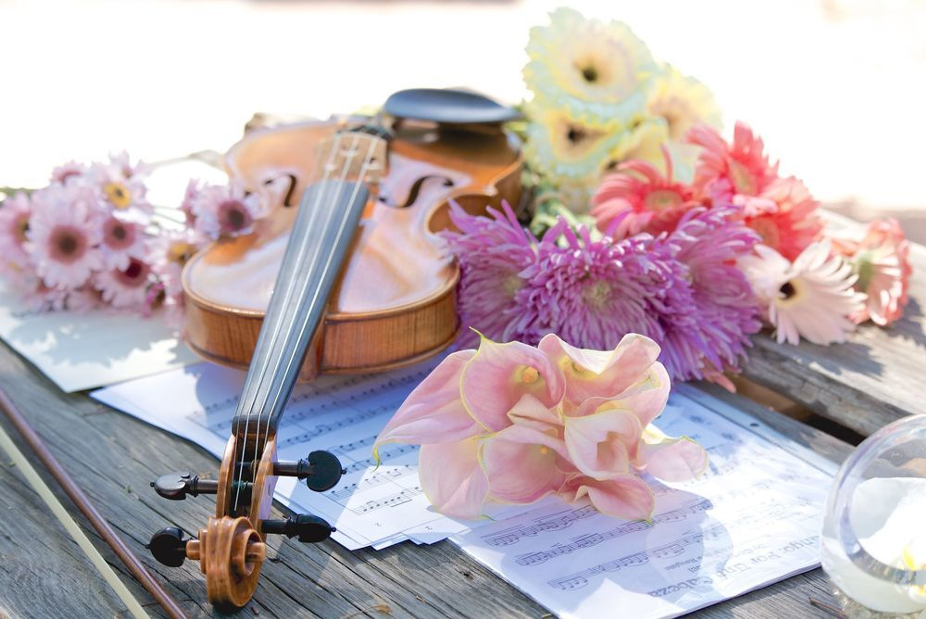 Cover photo of Strings by Reiko