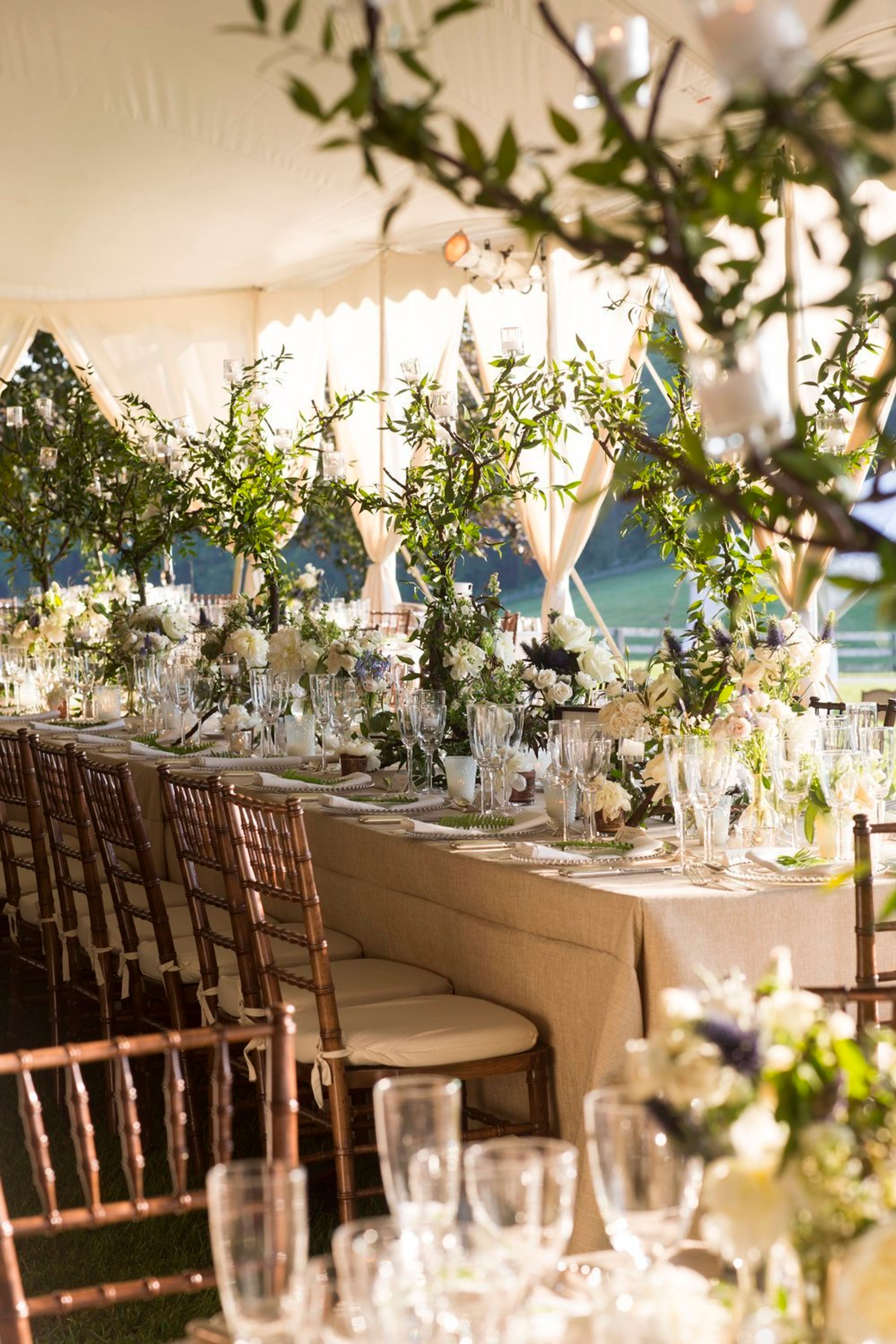 Cover photo of Nancy Harris Events