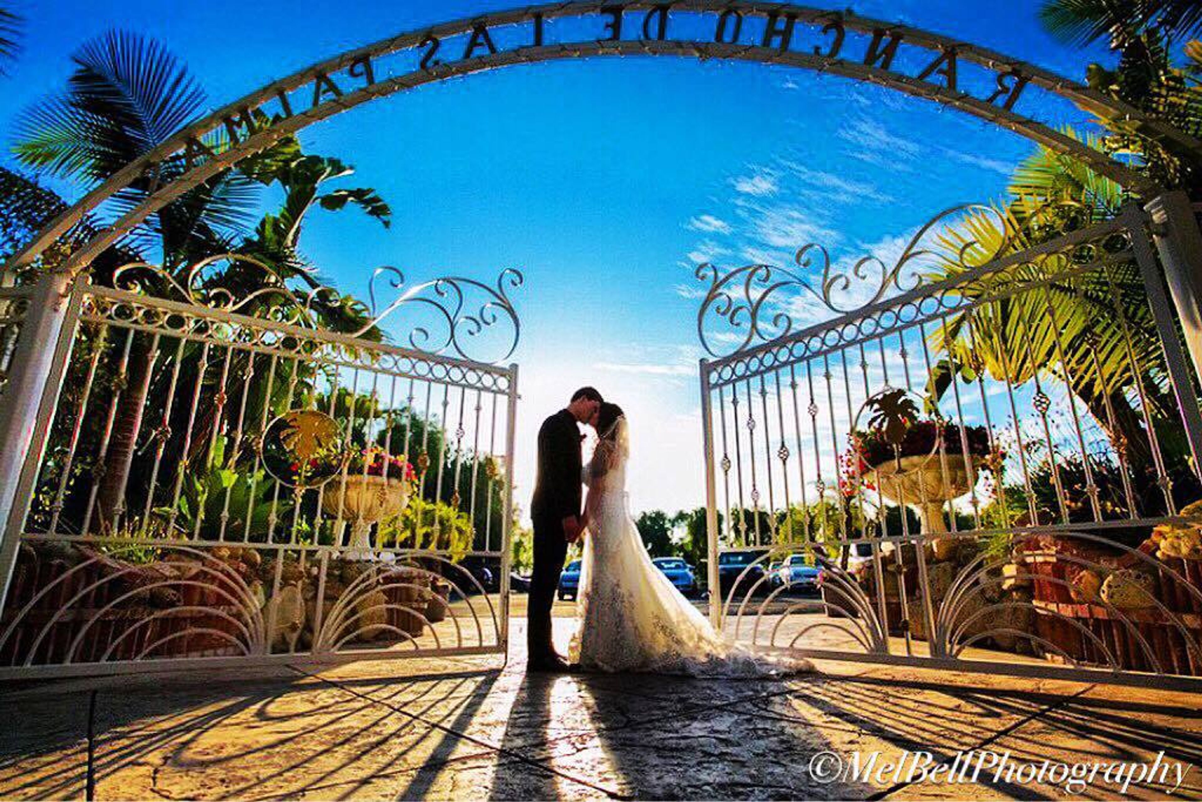 Cover photo of Rancho de las Palmas