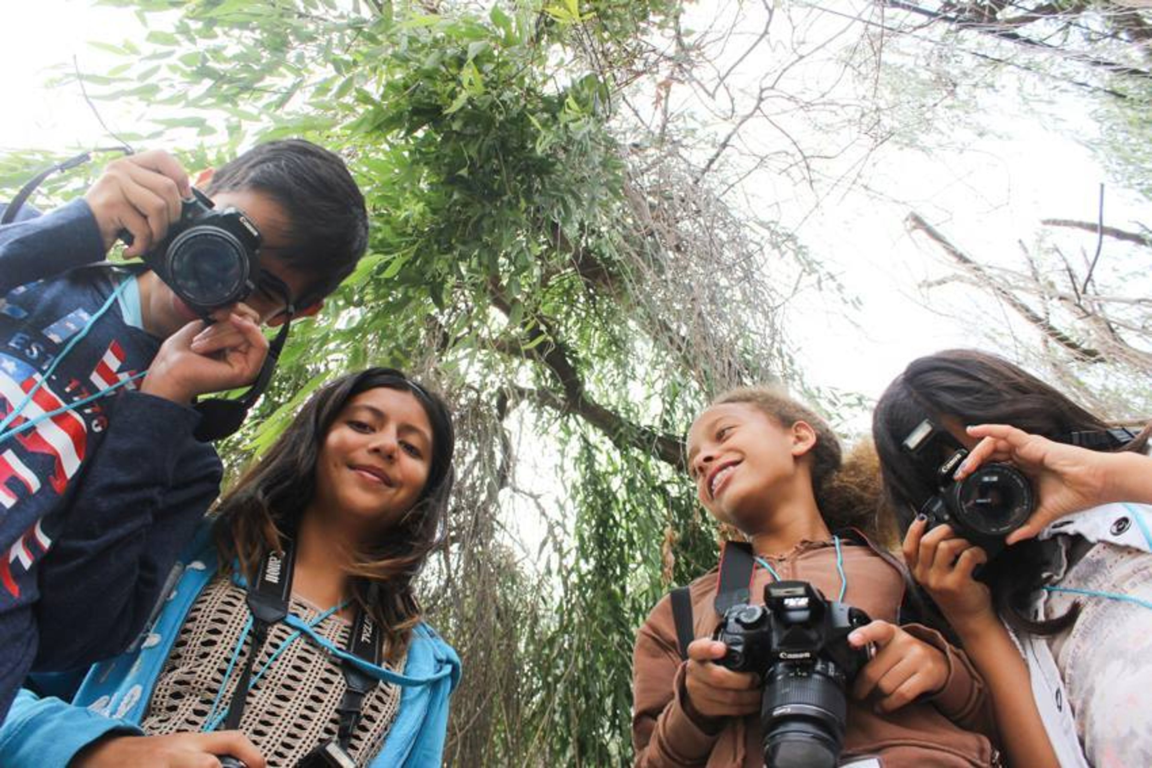 Cover photo of Venice Arts Gallery