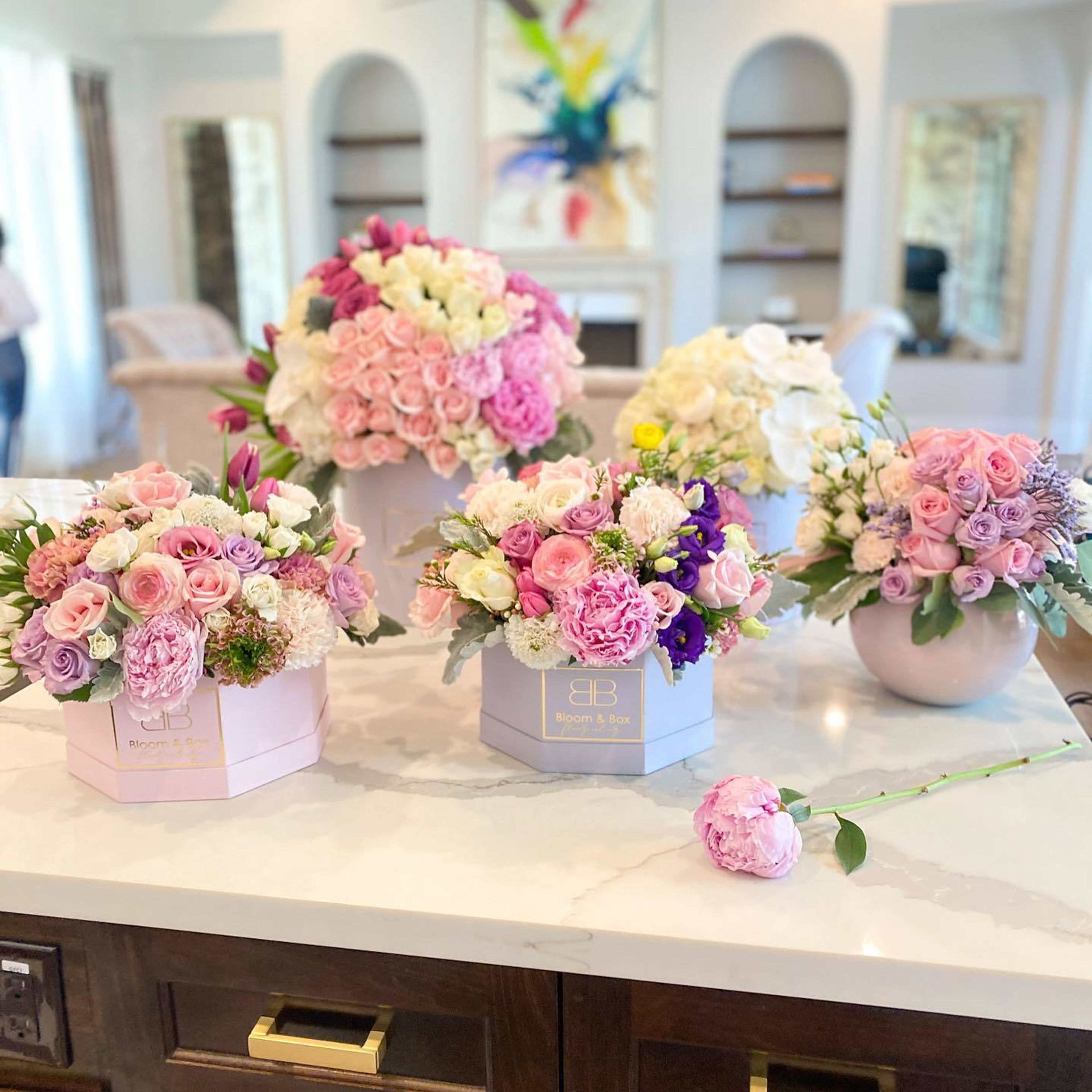 Cover photo of Bloom and Box