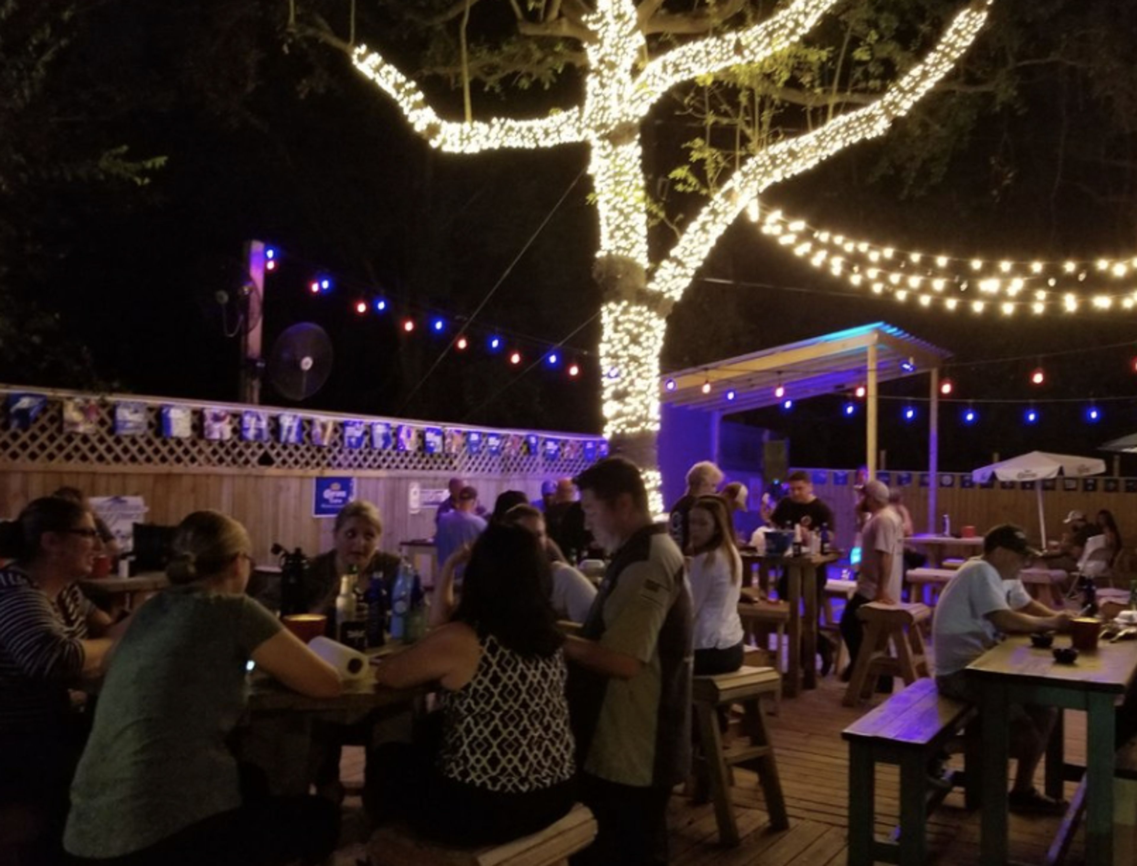 Cover photo of 1886 Humble Backyard