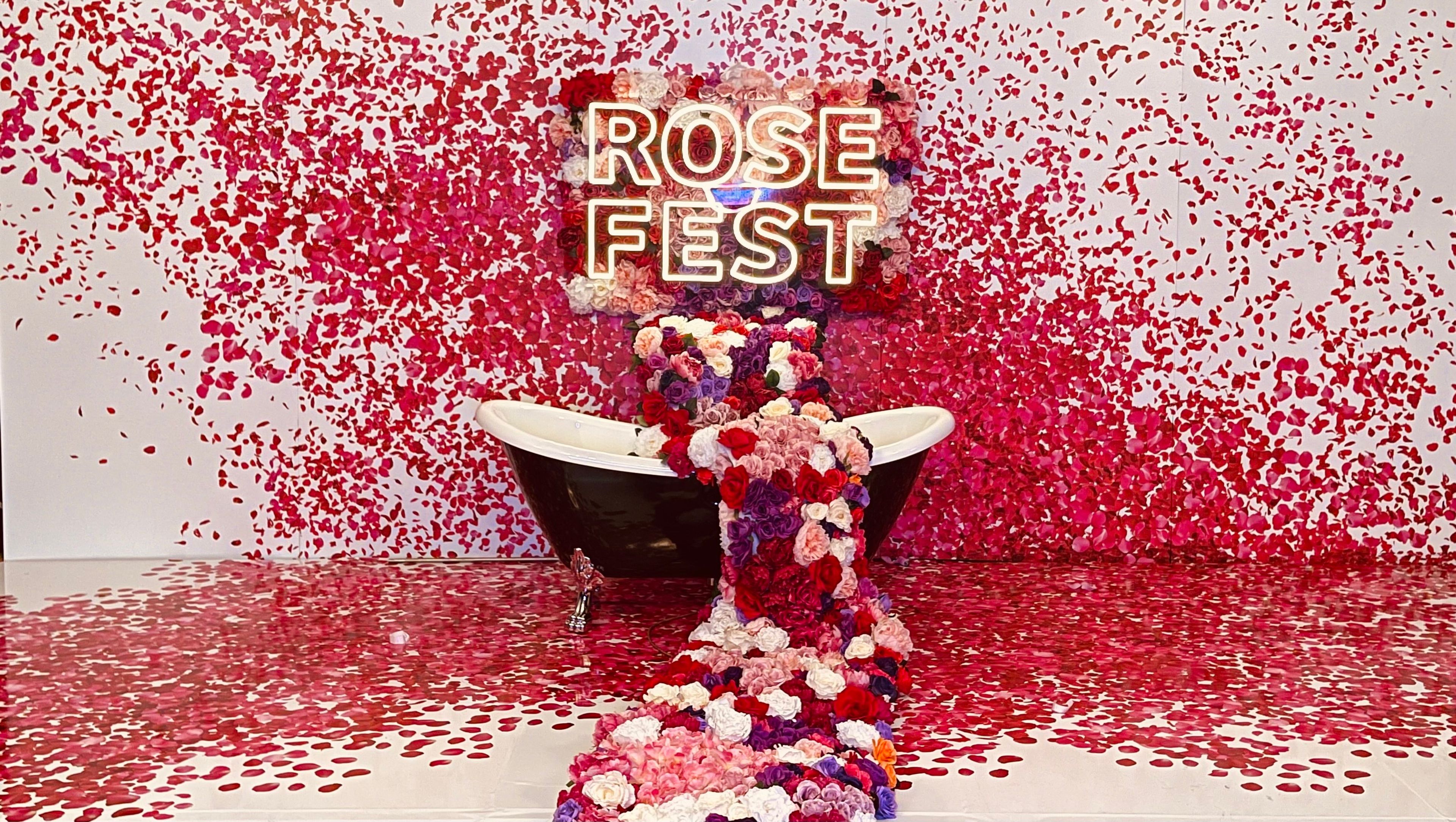 Cover photo of The Perfect Party